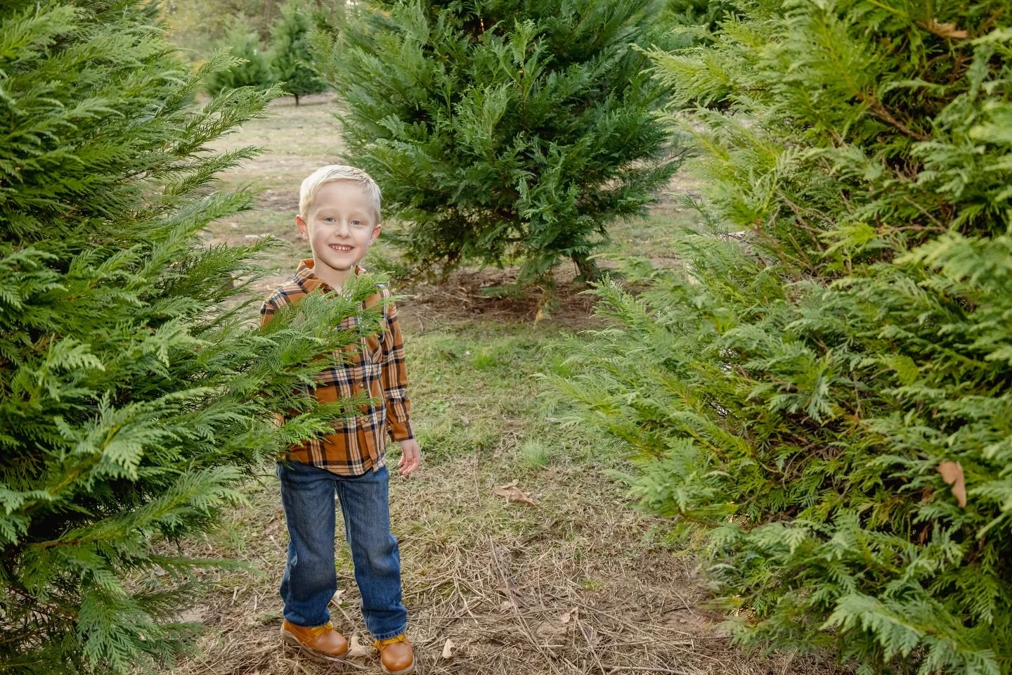 Christmas at the tree farm!