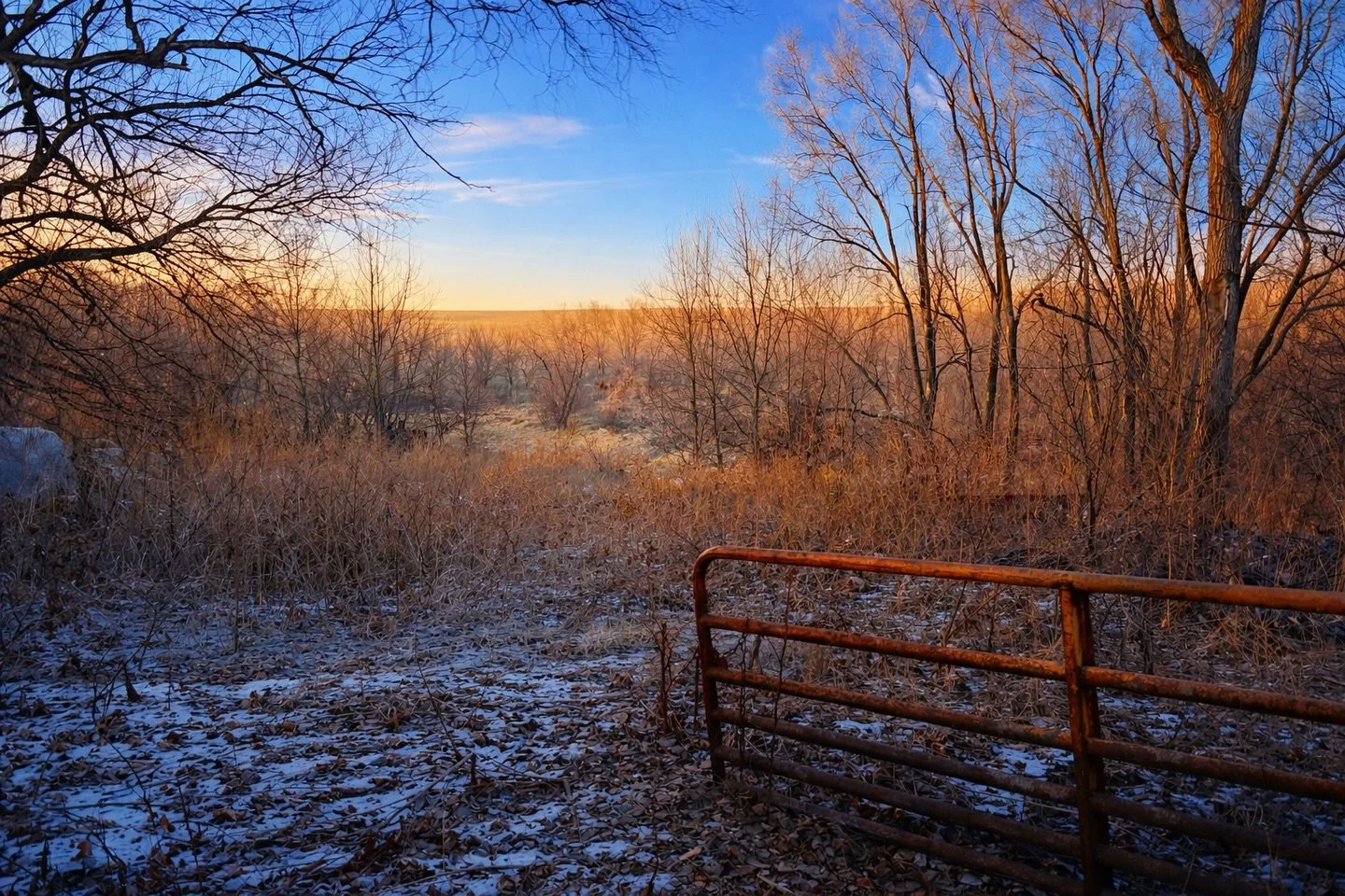 I&rsquo;m back in town following a family funeral and truly appreciate everyone&rsquo;s patience with the delay in email and message responses. December and these first weeks of 2026 have been a whirlwind, and I&rsquo;ll be working on getting fully c