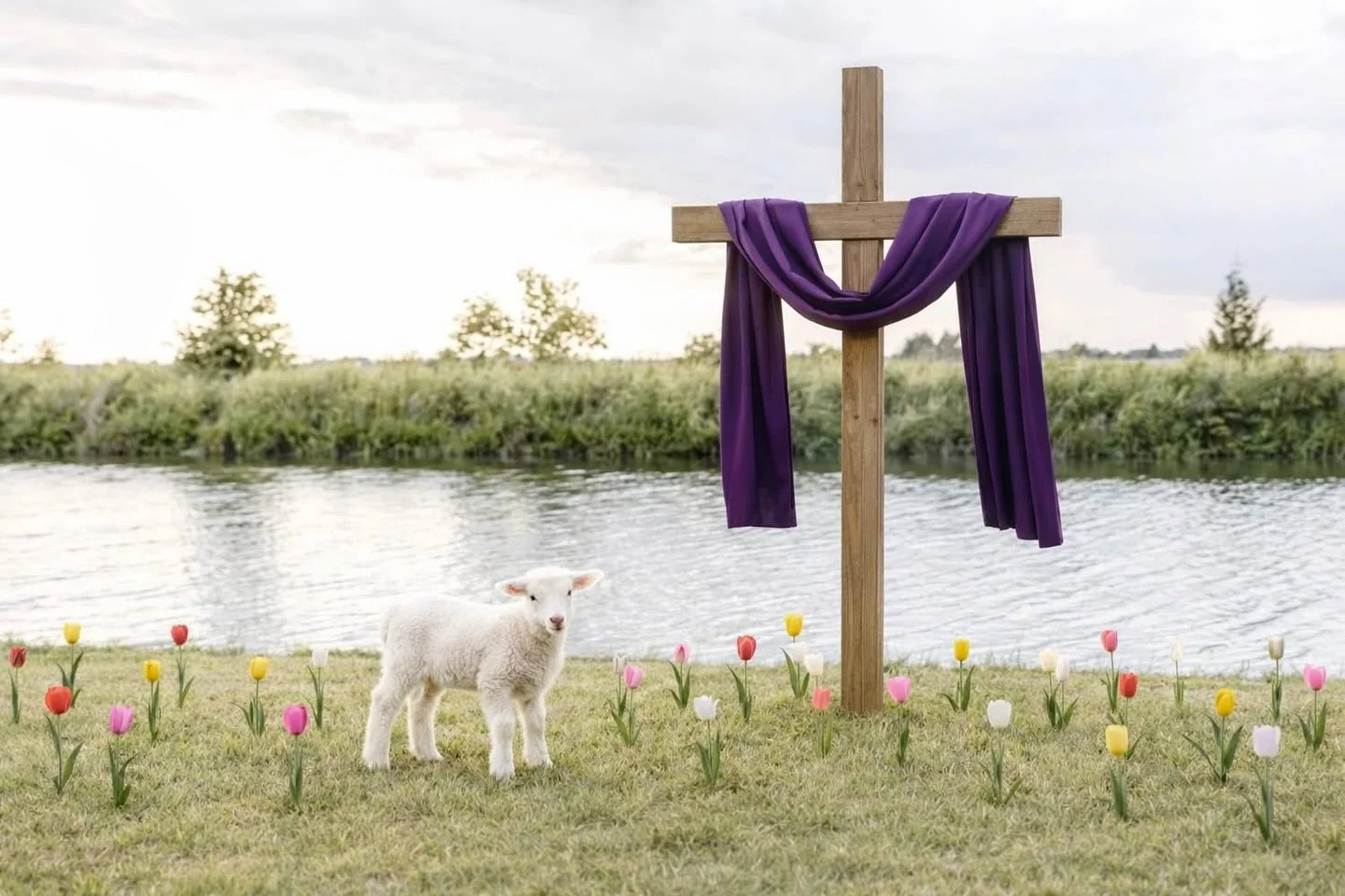 ✨ He Is Risen &ndash; Easter Mini Sessions ✨

Celebrate the true meaning of Easter with a faith centered portrait experience at @greenriverplace 

This year&rsquo;s Easter minis will feature a real lamb, a 6-foot wooden cross draped in purple, and lo