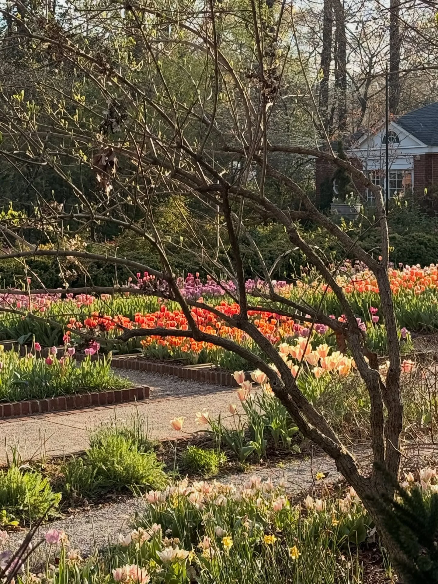 Magnolia&rsquo;s Moment of Grace:
The Life You&rsquo;re Too Busy to Live

Lately I&rsquo;ve been reflecting on how heavy life feels.
And it grieves me how much we&rsquo;ve lost the concept of family.
God is the foundation. Family is the frame. And th