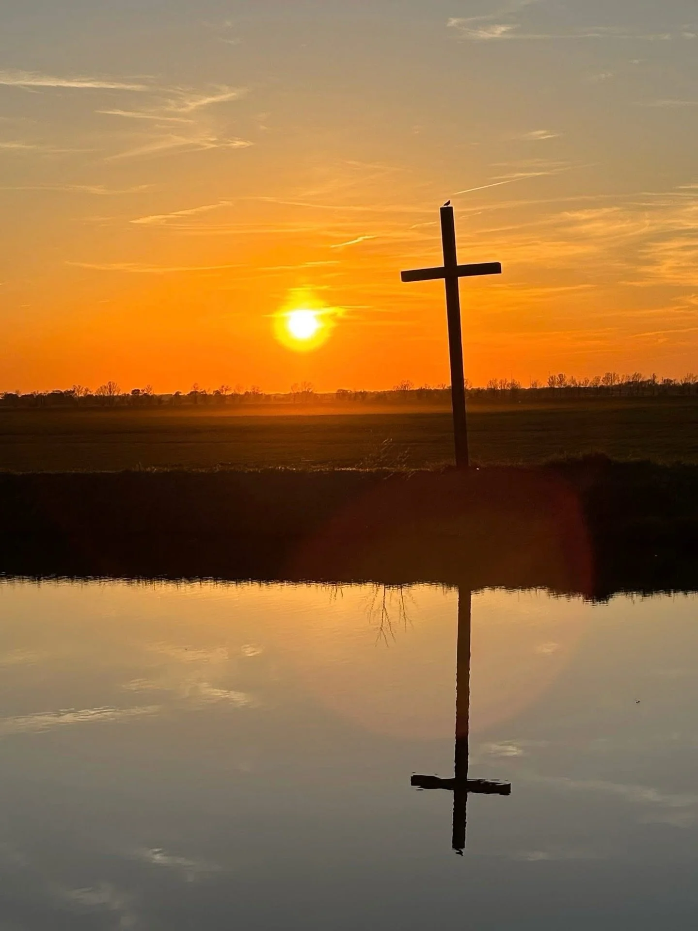 Magnolia&rsquo;s Moment of Grace 

Last night I was disappointed.

My Easter sessions, built around a cross, a lamb, and tulips didn&rsquo;t fill the way I hoped. The world wanted bunnies. I stayed true to the story.

And then I looked up.

God paint