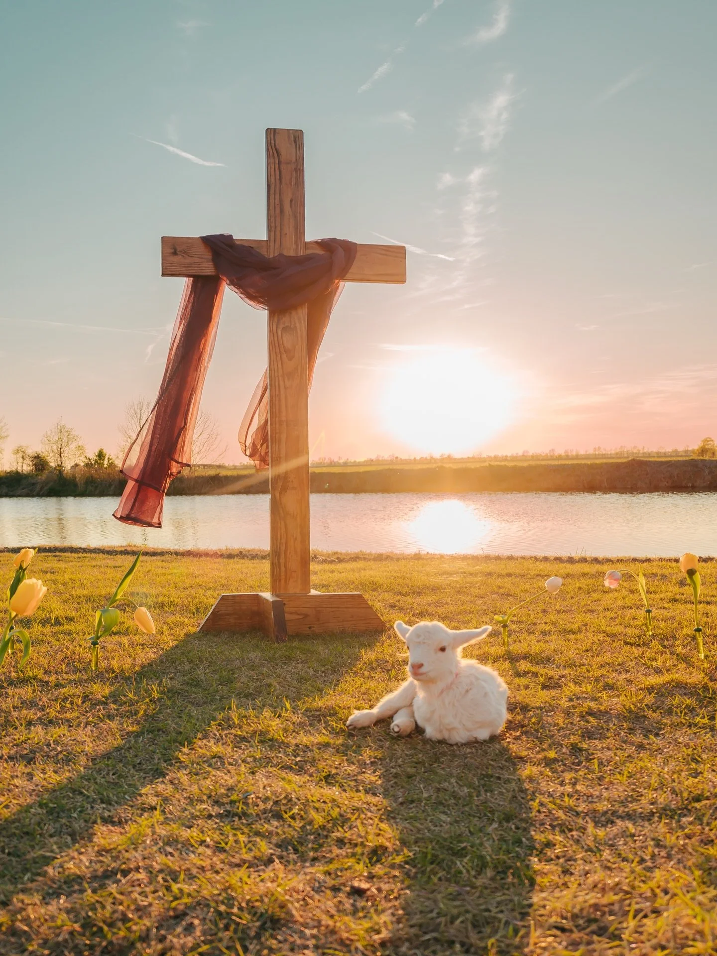Magnolia&rsquo;s Moment of Grace

He is risen.
The cross. The lamb. The light over the water.
Whatever this season has held for you, He is not in the tomb. He goes before you. He is making all things new.
That is the hope we carry. That is the light 