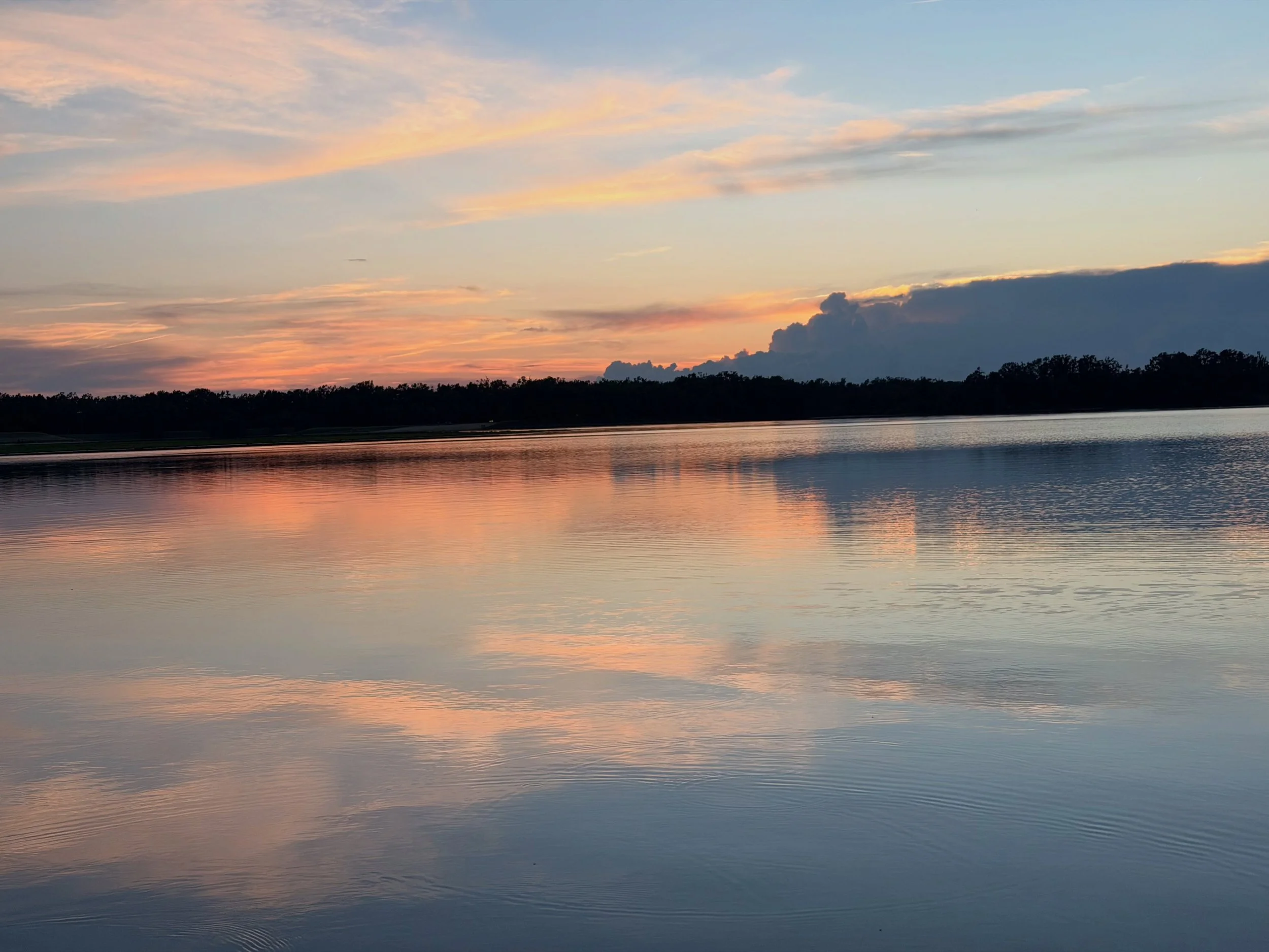 Magnolia&rsquo;s Moment of Grace
Full transparency: this one is vulnerable.
Seventeen years of health struggles. Nine of them an infertility journey. My body has thrown me around in ways I never saw coming, and I have sat across from doctors who trea