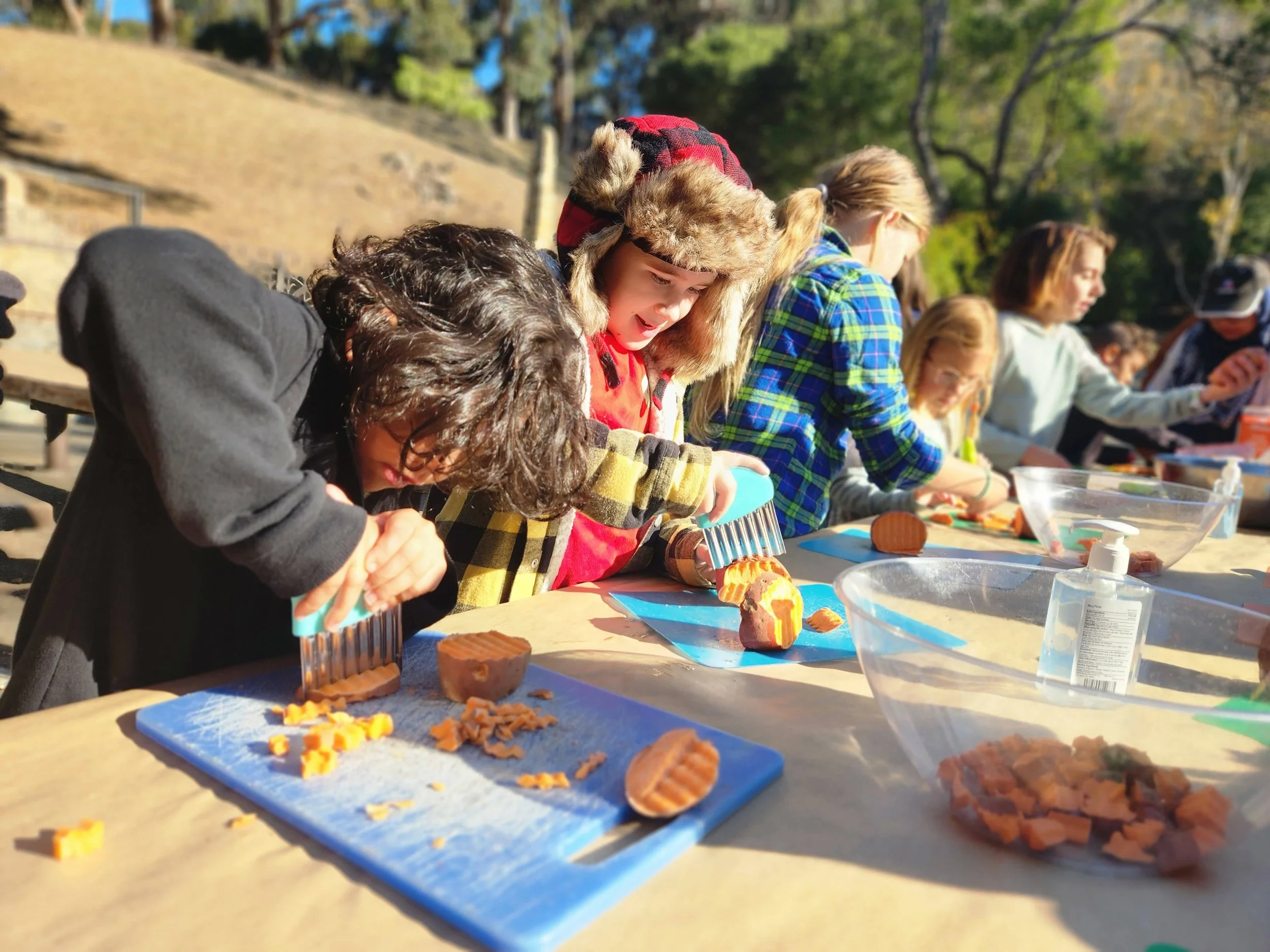Whole School Picnic
