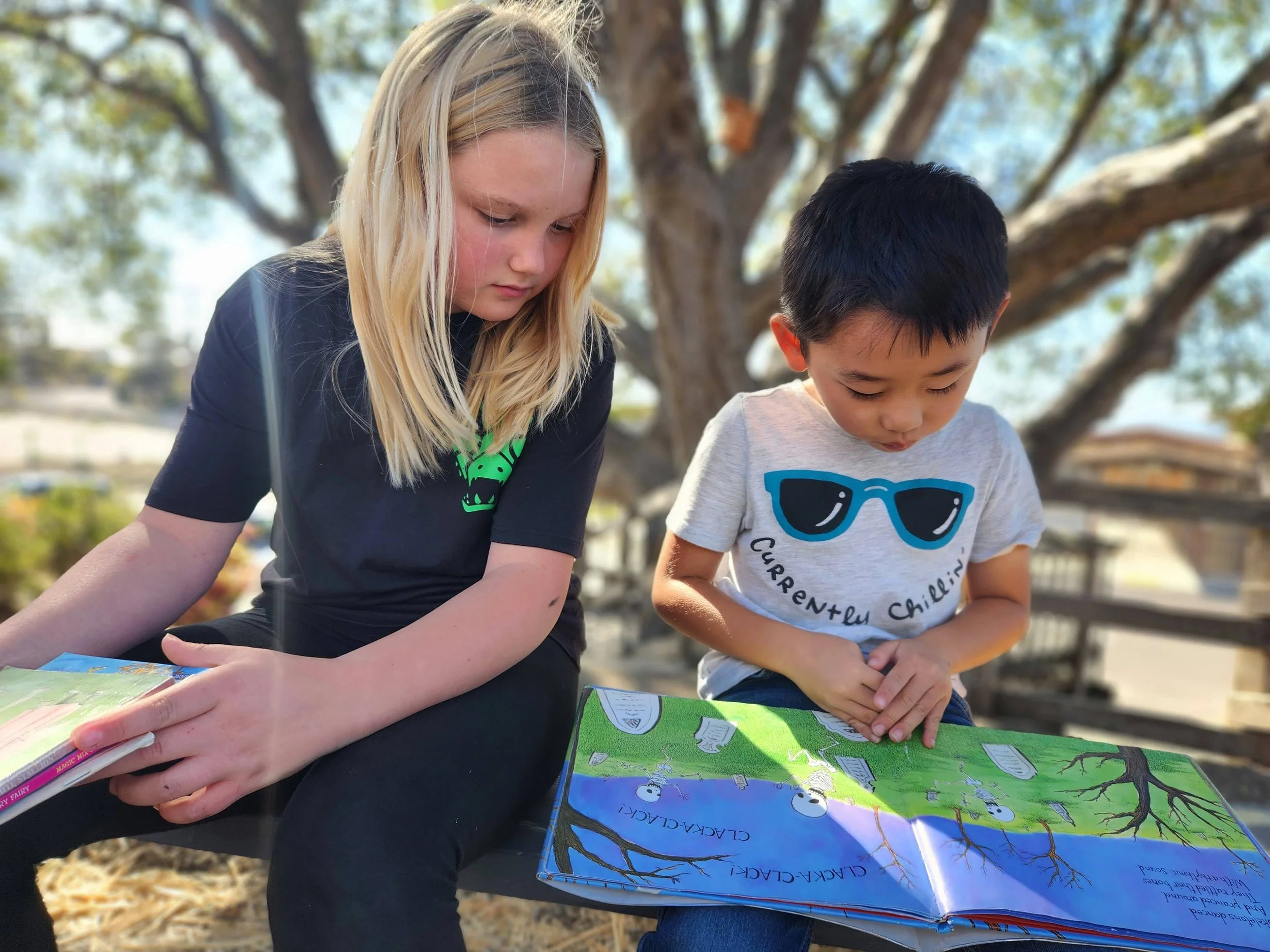 The Great Crestmont Book Swap