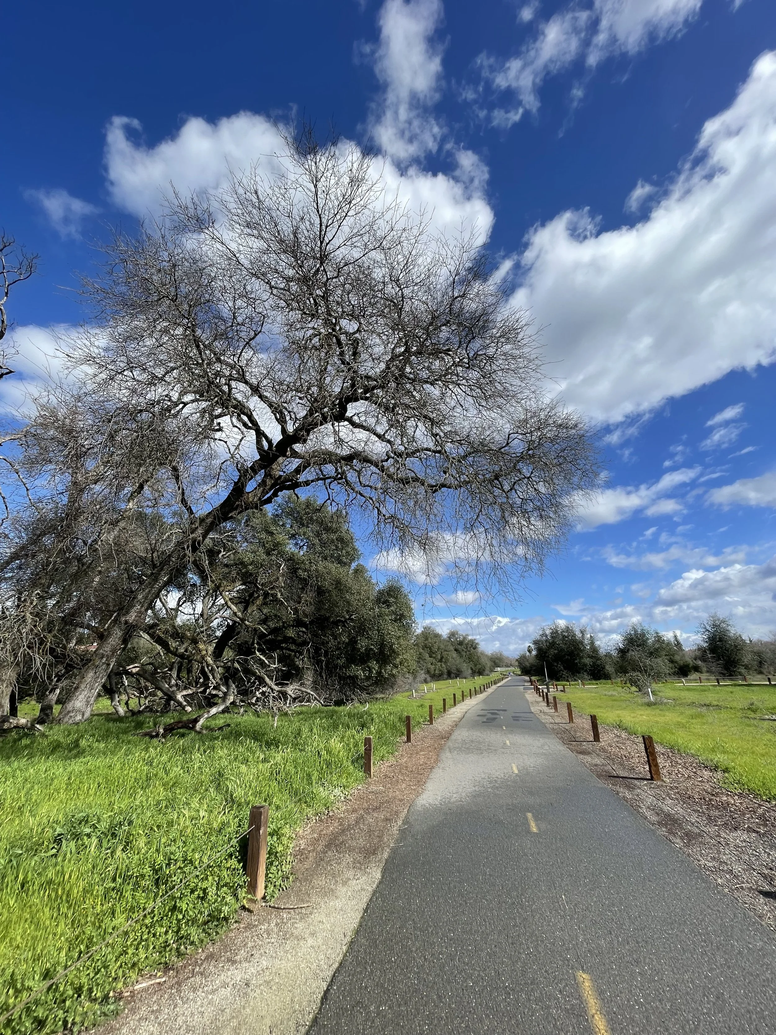 Family-Friendly Events Happening in March: