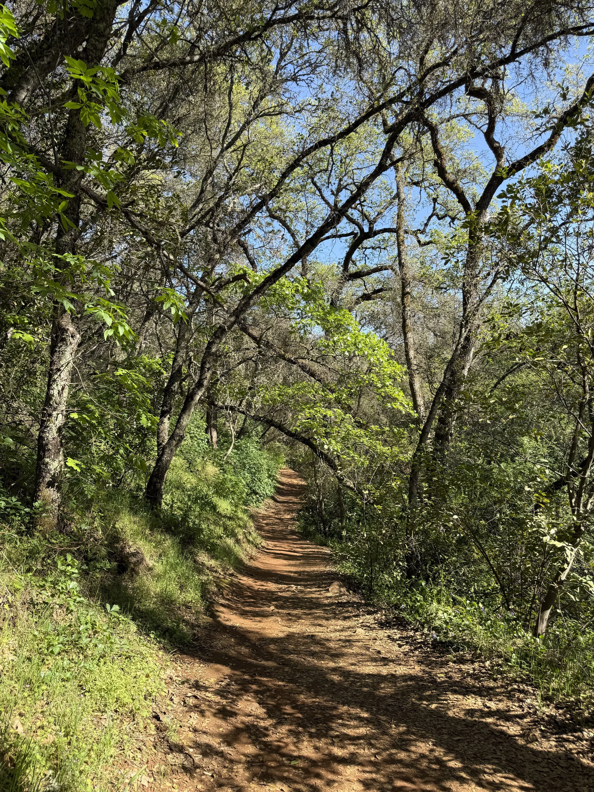 Best Hiking Spots Near Sacramento 