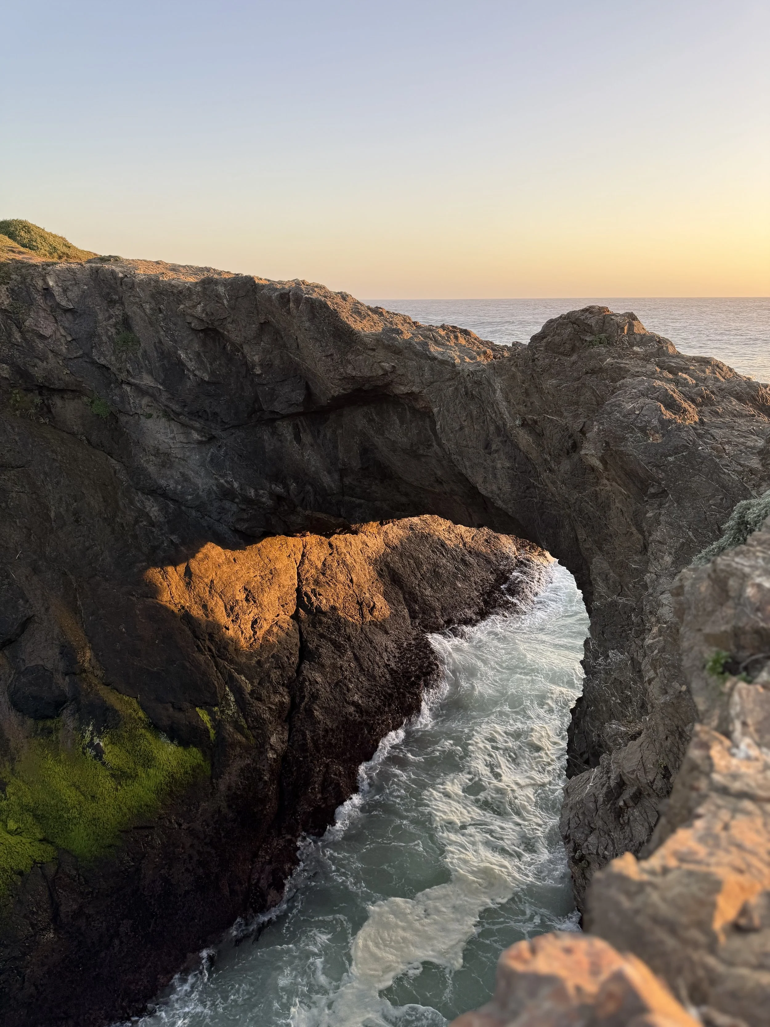 Dog &amp; Kid-Friendly Mendocino, CA Itinerary: The Perfect 3-day Coastal Getaway from Sacramento 