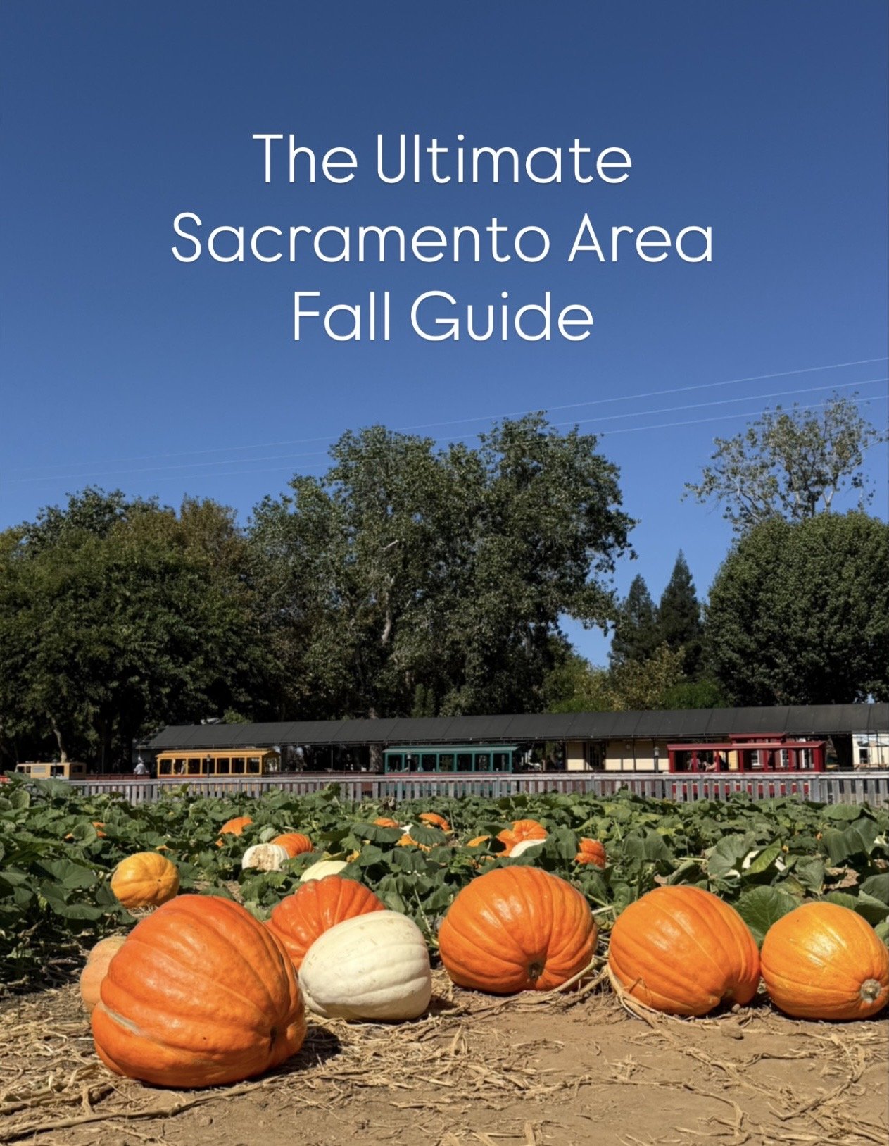 The Ultimate Sacramento Area Fall Guide