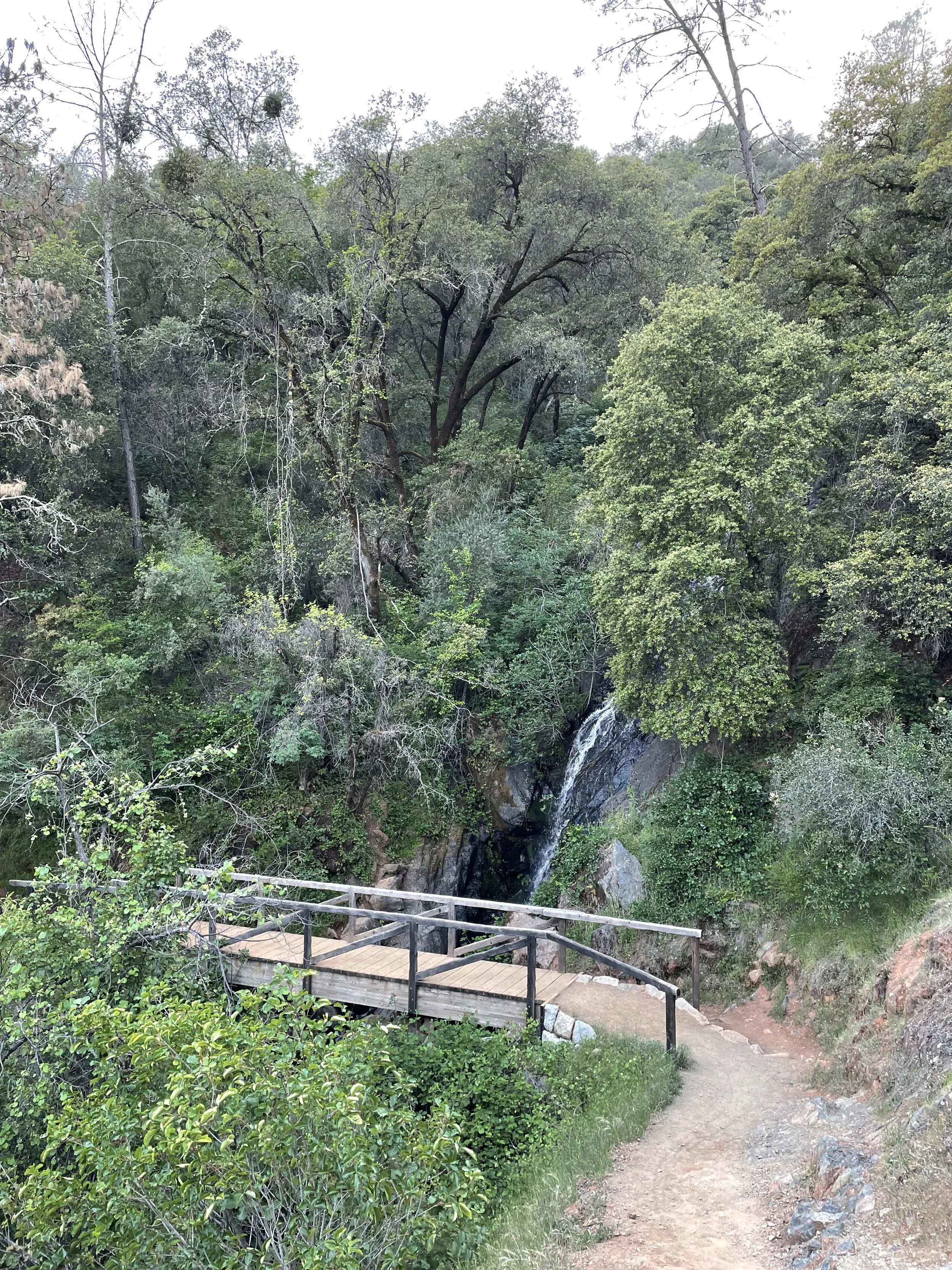 The water fall along the Western States Trail to Calcutta Falls in the Auburn Recreational District