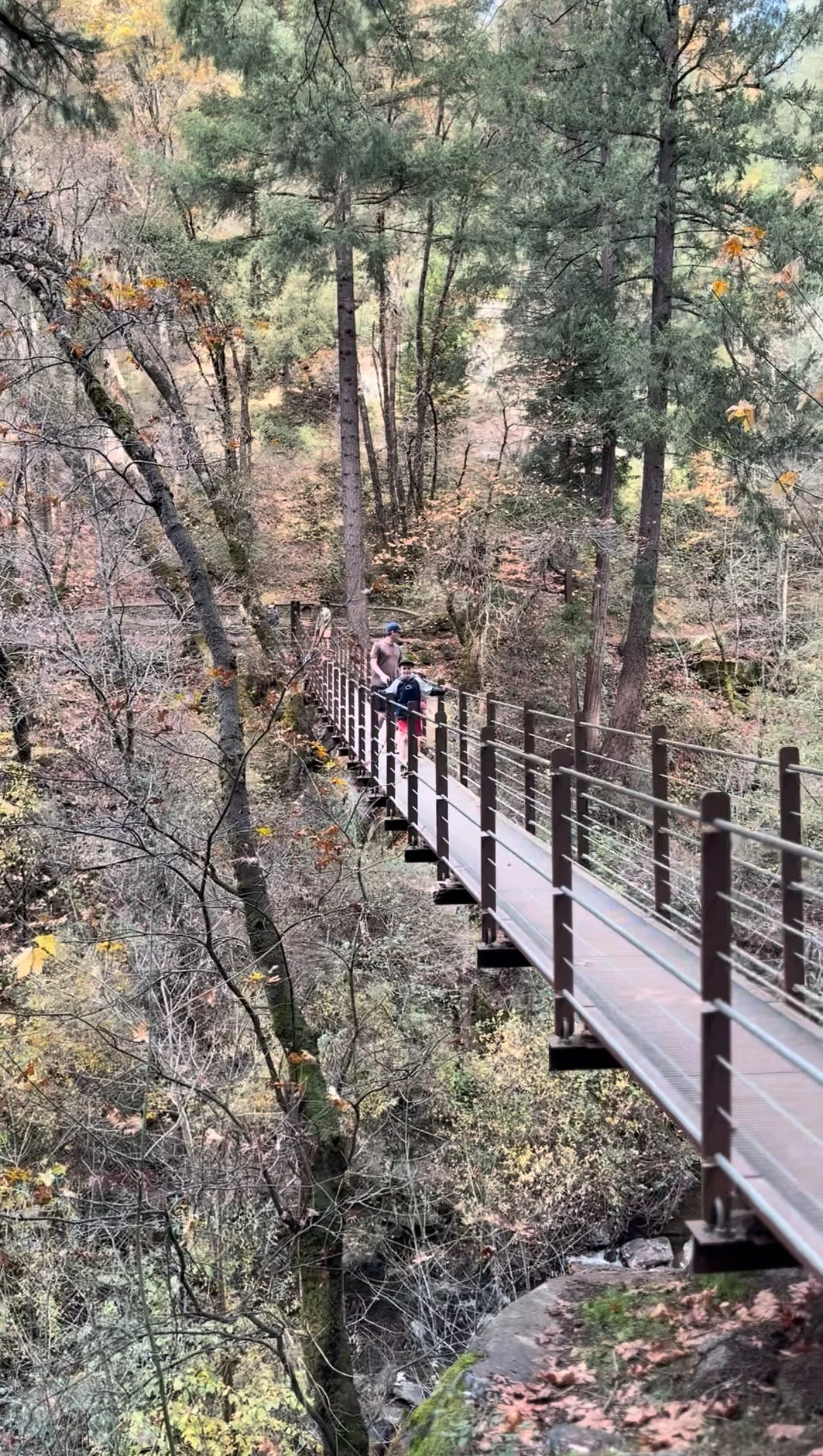 Suspension Bridge along the Deer Creek Tribute Bridge near Nevada City