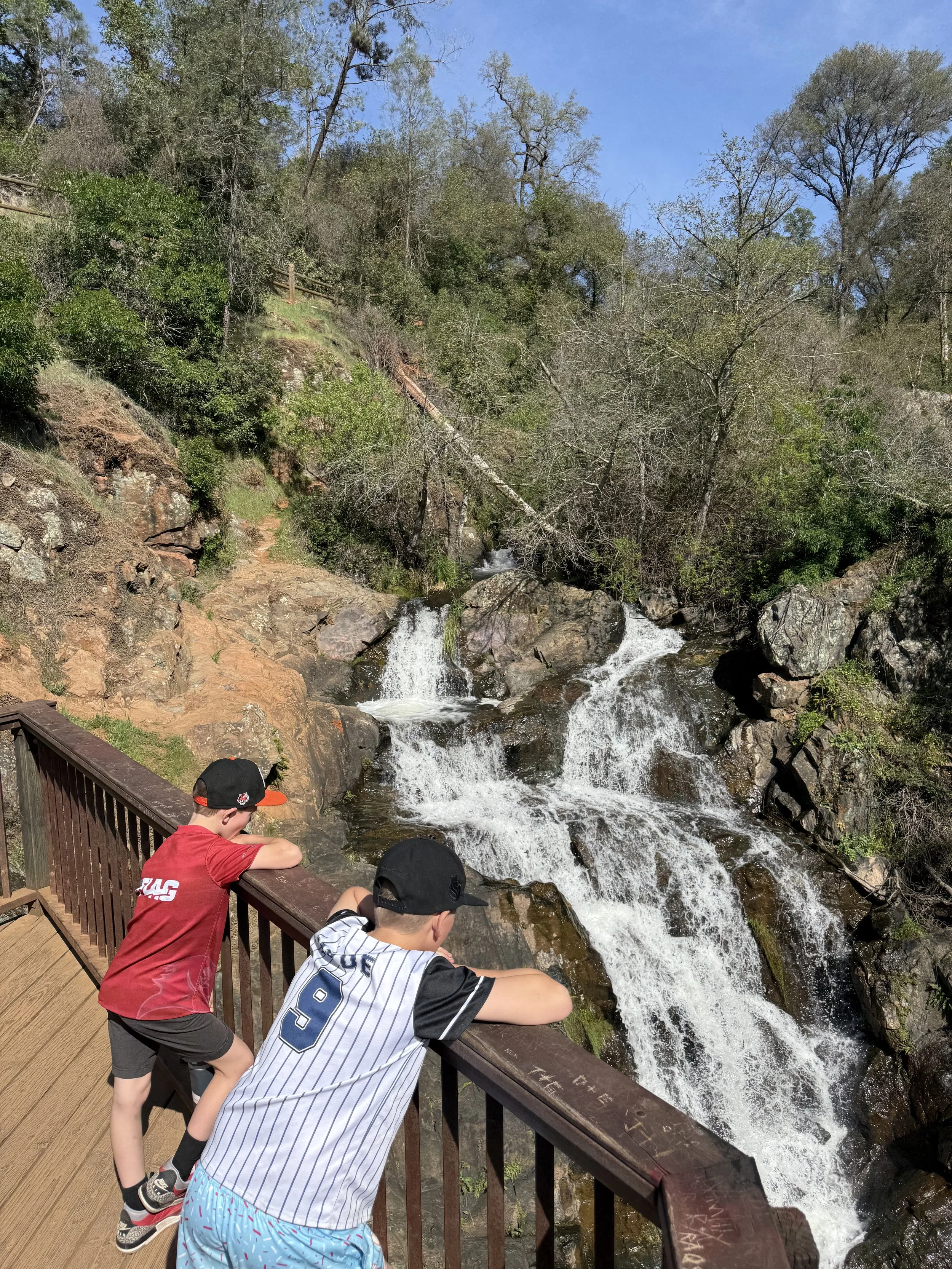 Hidden Falls Regional Park