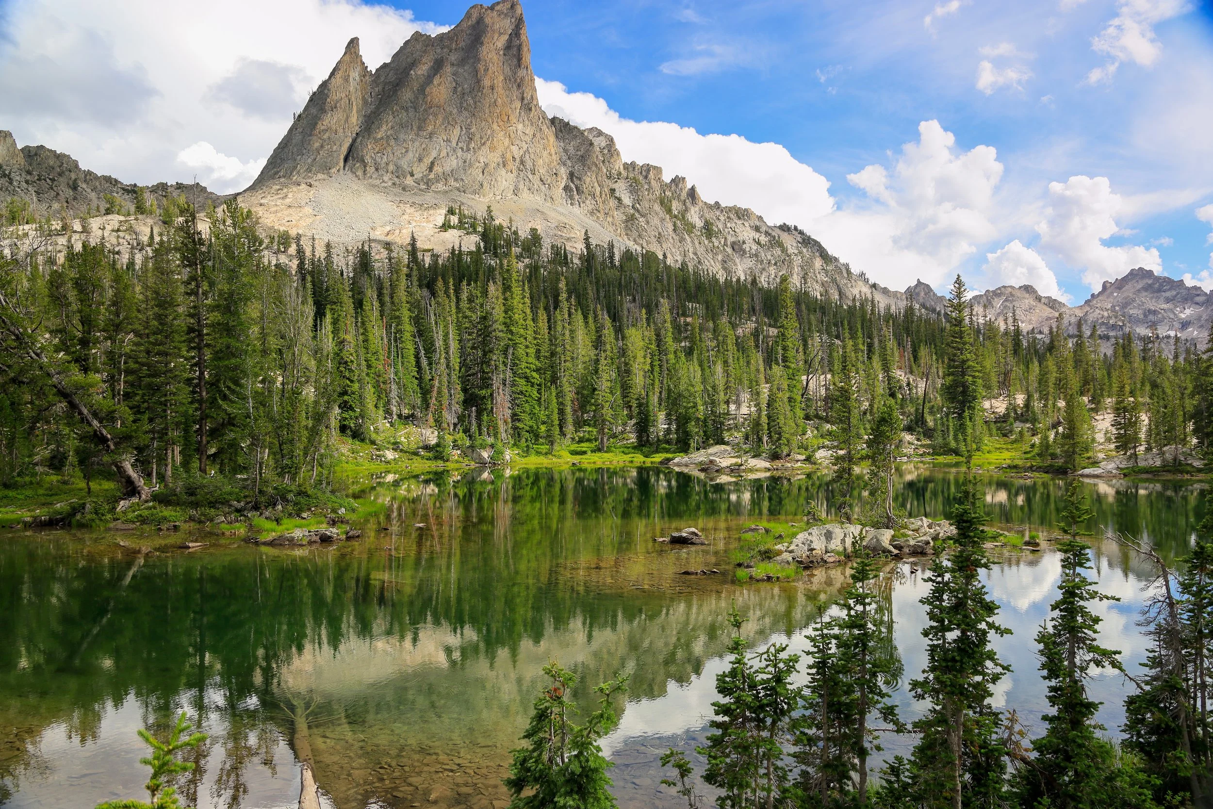U.S.A - Sawtooth National Forest