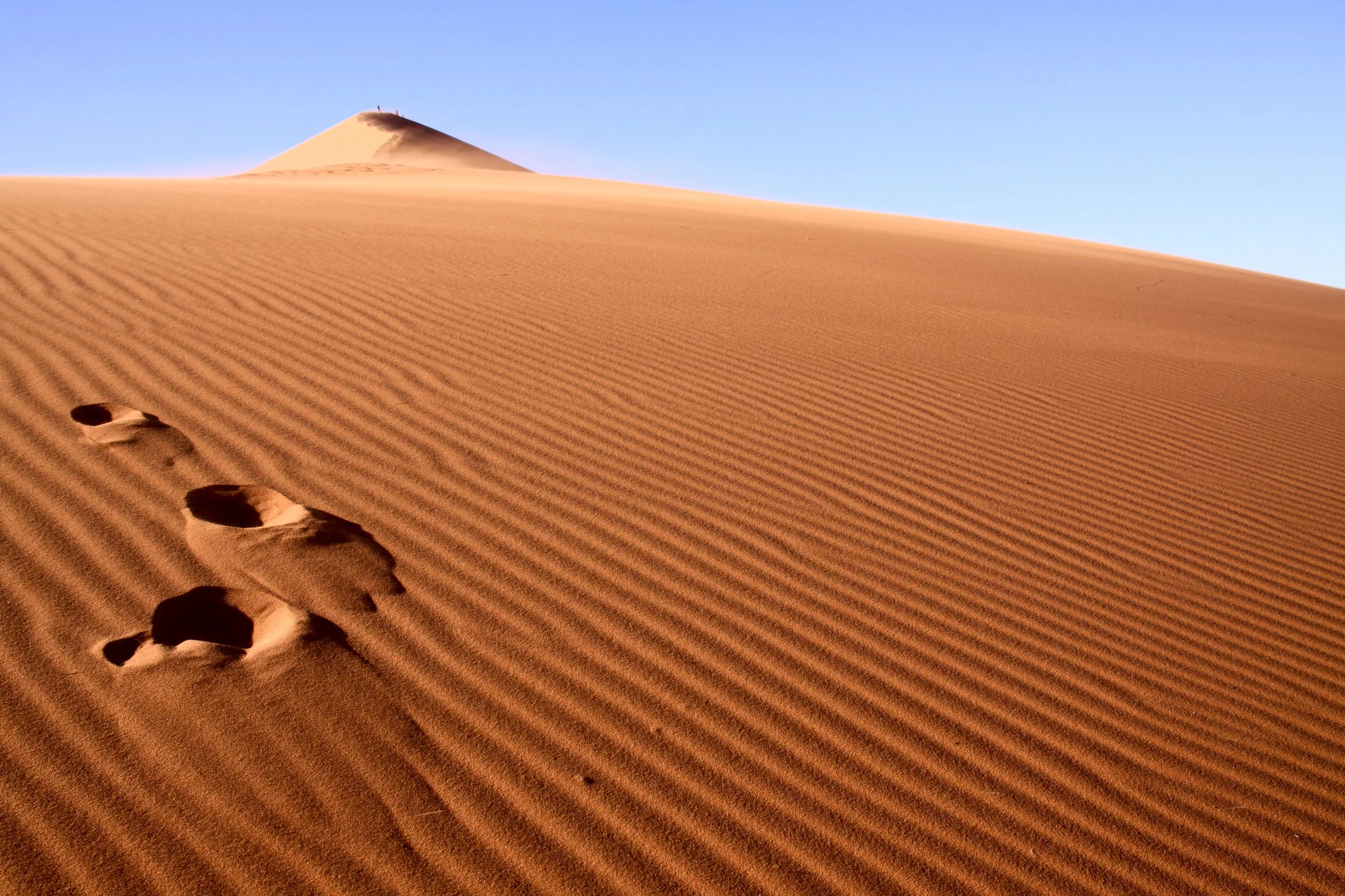 Namibia - Dune 51