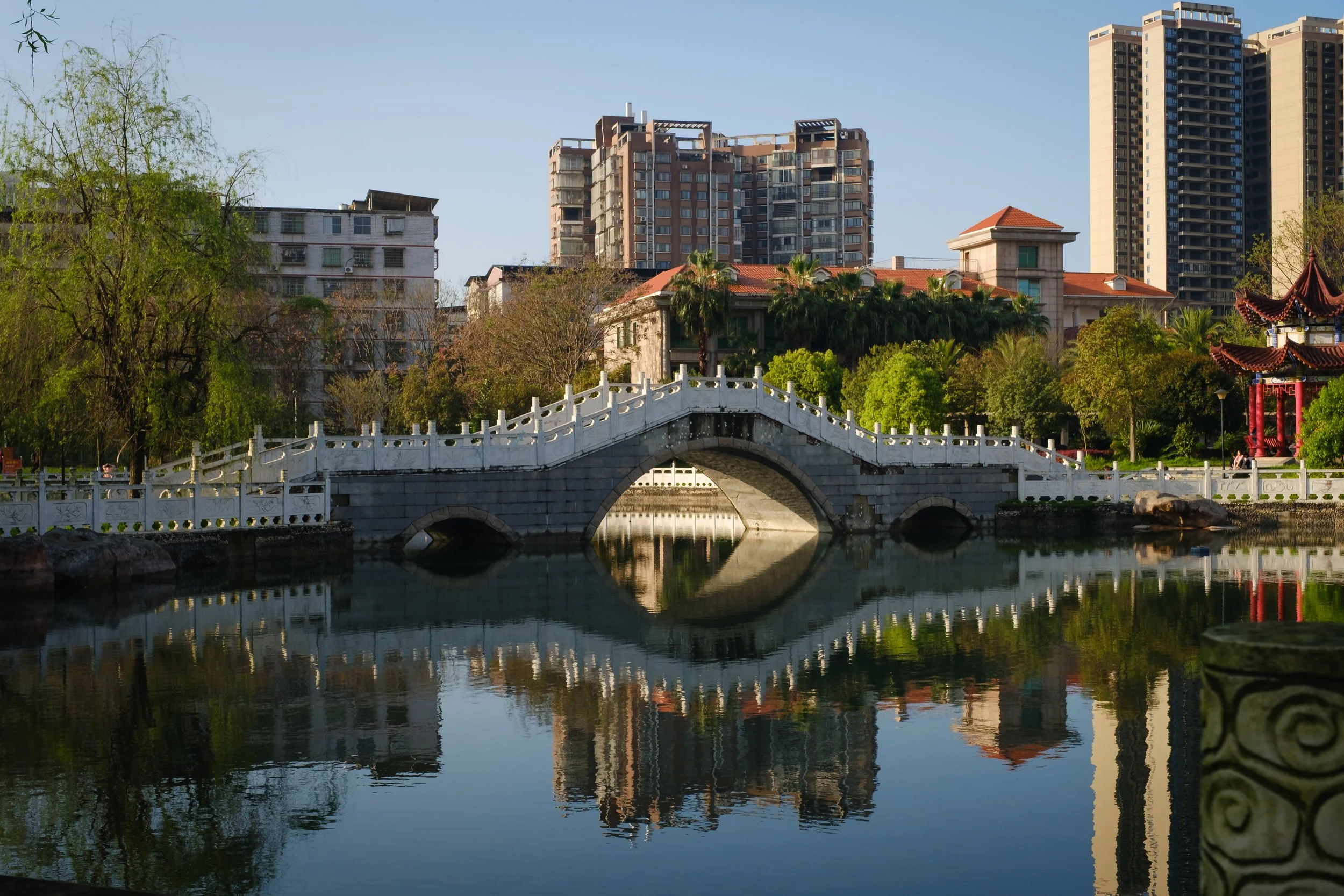 Chinese Bridge and pond at a park