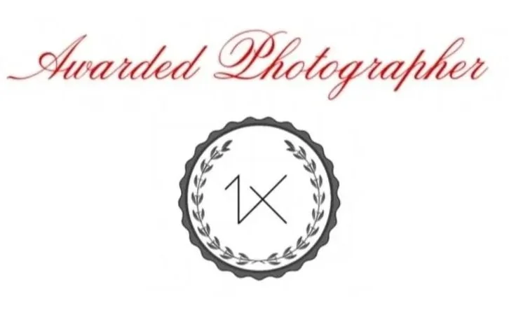 Award certificate with the words "Awarded Photographer" in red cursive and a black emblem with laurel branches surrounding the number 14.