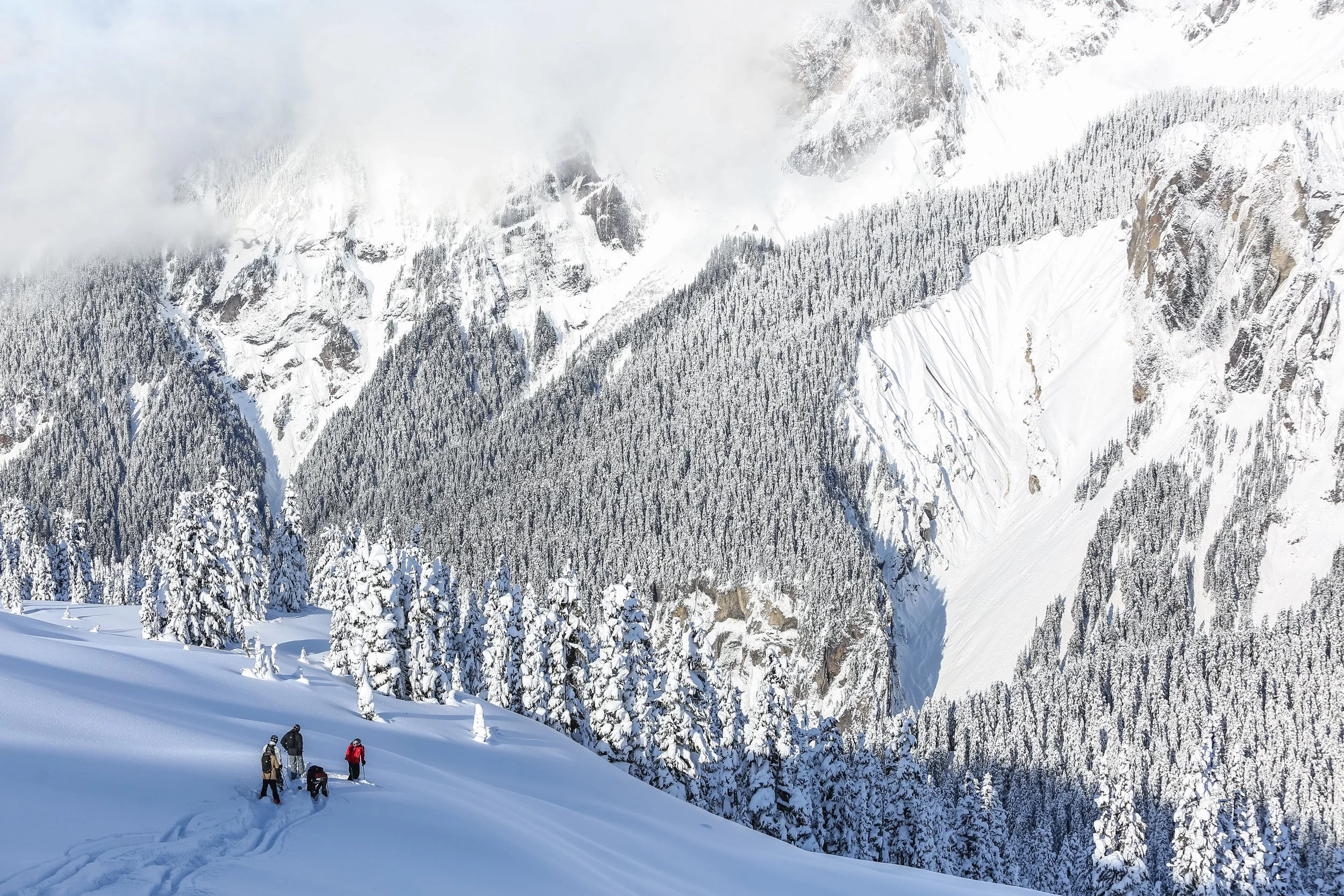 Group of four skiers in snowy mountain landscape with snow-covered trees and high peaks in the background.