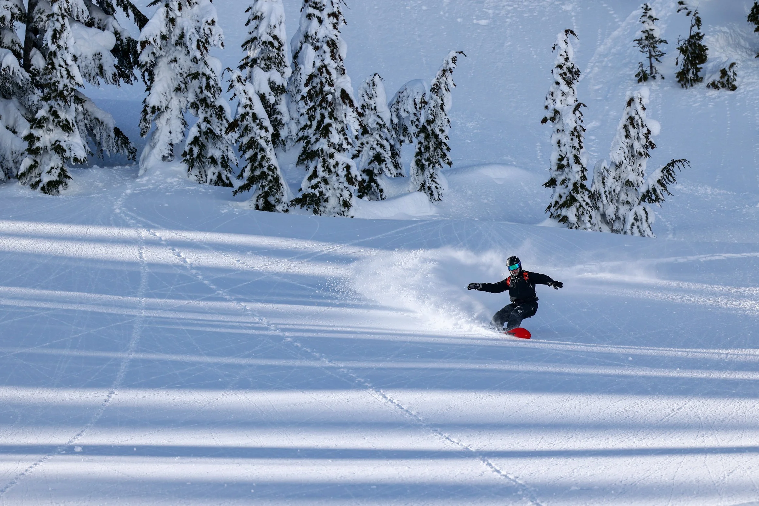 A person snowboarding on a snowy slope surrounded by snow-covered evergreen trees.