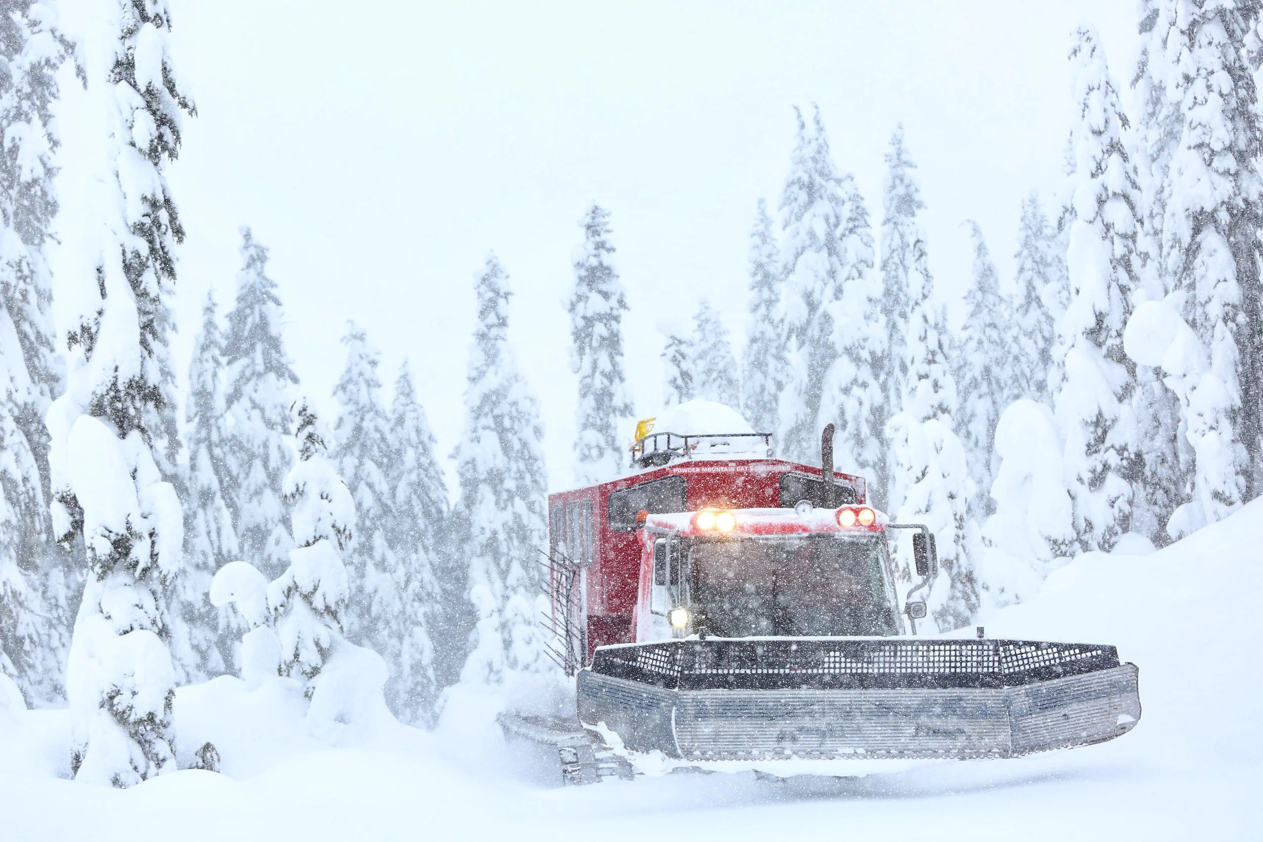 A red snowcat vehicle operating in a snowy, forested mountain landscape.