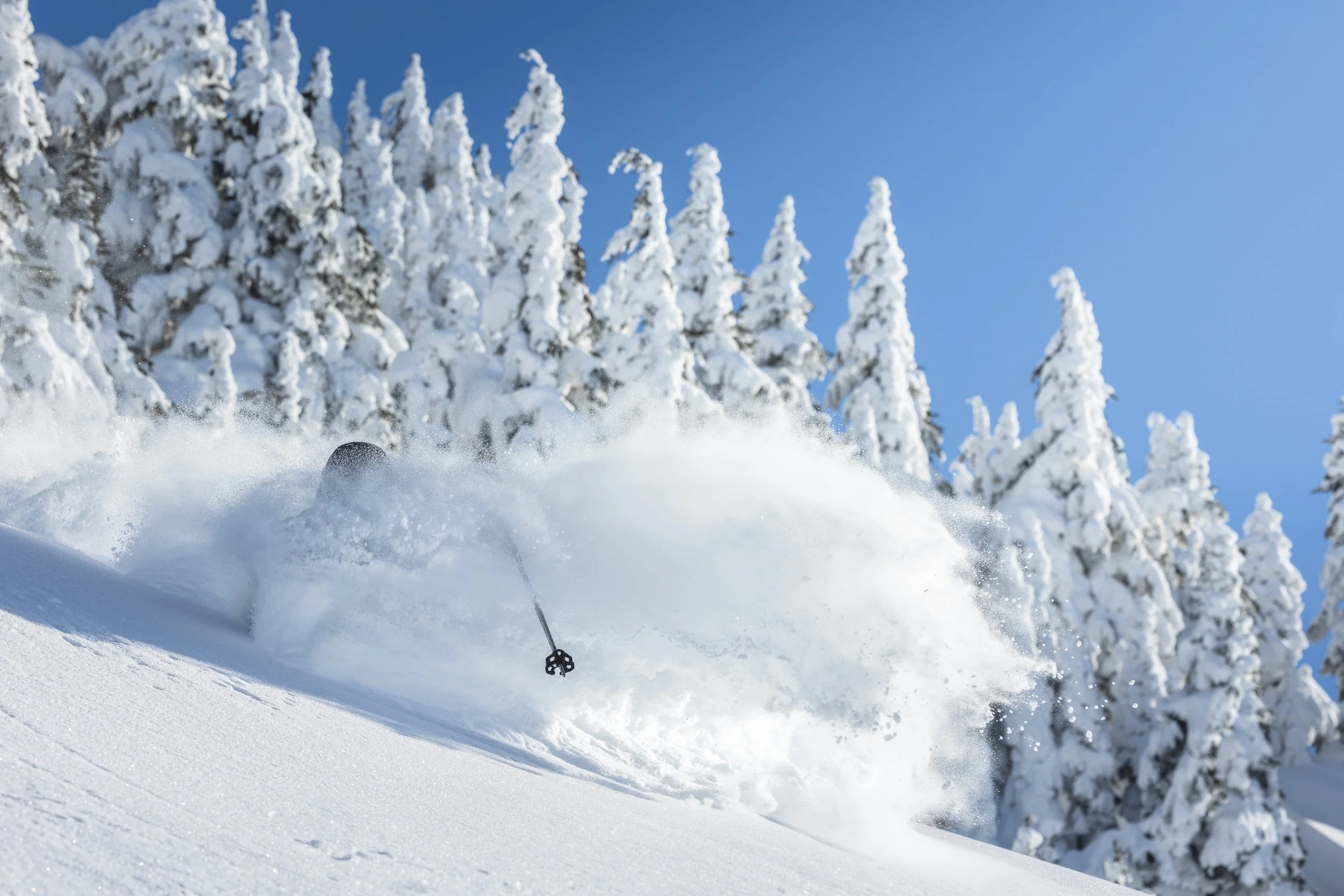 A skier descending a snowy slope with trees covered in snow in the background, creating a spray of snow as they go.