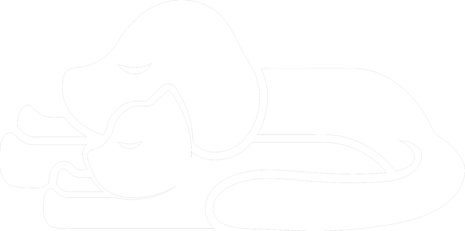 Lake Mead Pet Hospital