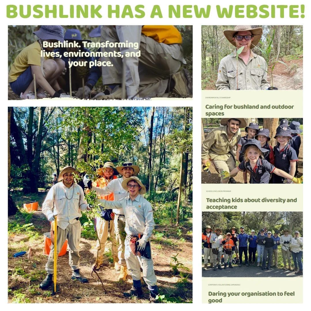 🌿 Bushlink has a brand-new website! 🎉

We&rsquo;re creating real jobs for people with disability while caring for our environment, schools, and communities. 💚

👉 Check out the site and see how you can help: www.bushlink.org.au

Here&rsquo;s how y
