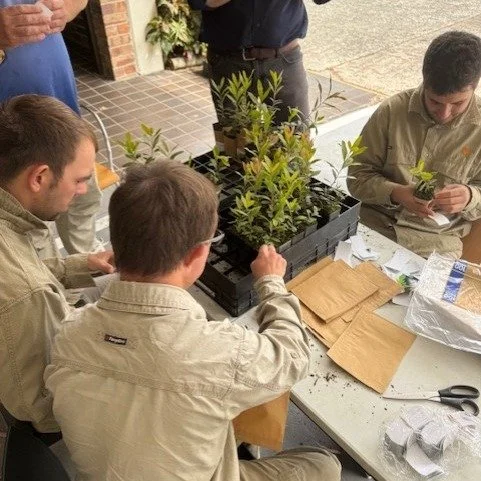Did You Know? 🌱

Alongside regenerating bushland and caring for our local environments, our Bushlink crew also support Northern Beaches Council  with a very special job.

For upcoming citizenship ceremonies, our team prepare and wrap native plants, 