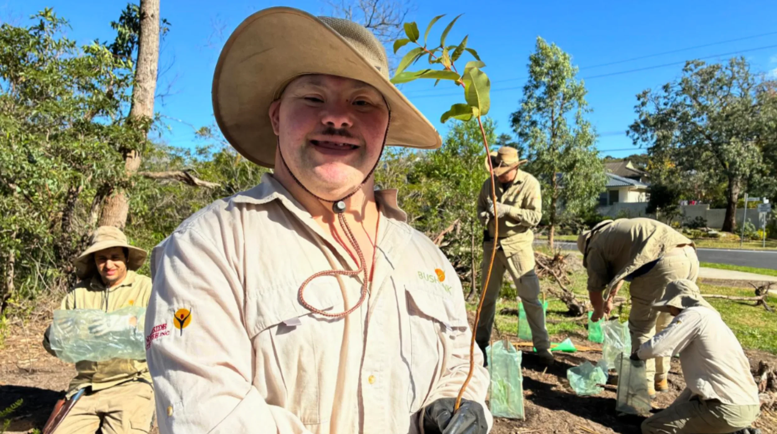 Bush Regeneration Assistant - Ku-ring-gai