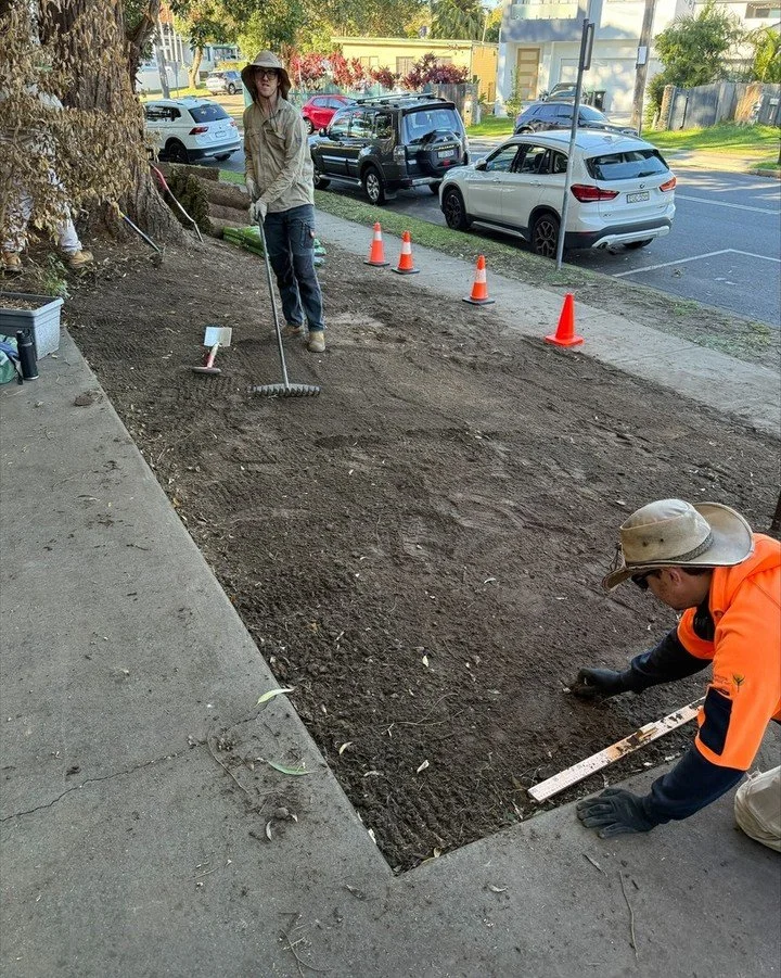 𝗧𝘂𝗿𝗳'𝘀 𝘂𝗽 𝗶𝗻 𝗕𝗿𝗼𝗼𝗸𝘃𝗮𝗹𝗲! 
This week Bushlink did a great job of turfing a verge in Brookvale. We're flexing new gardening muscles, developing our people, and delivering great outcomes for our partners!