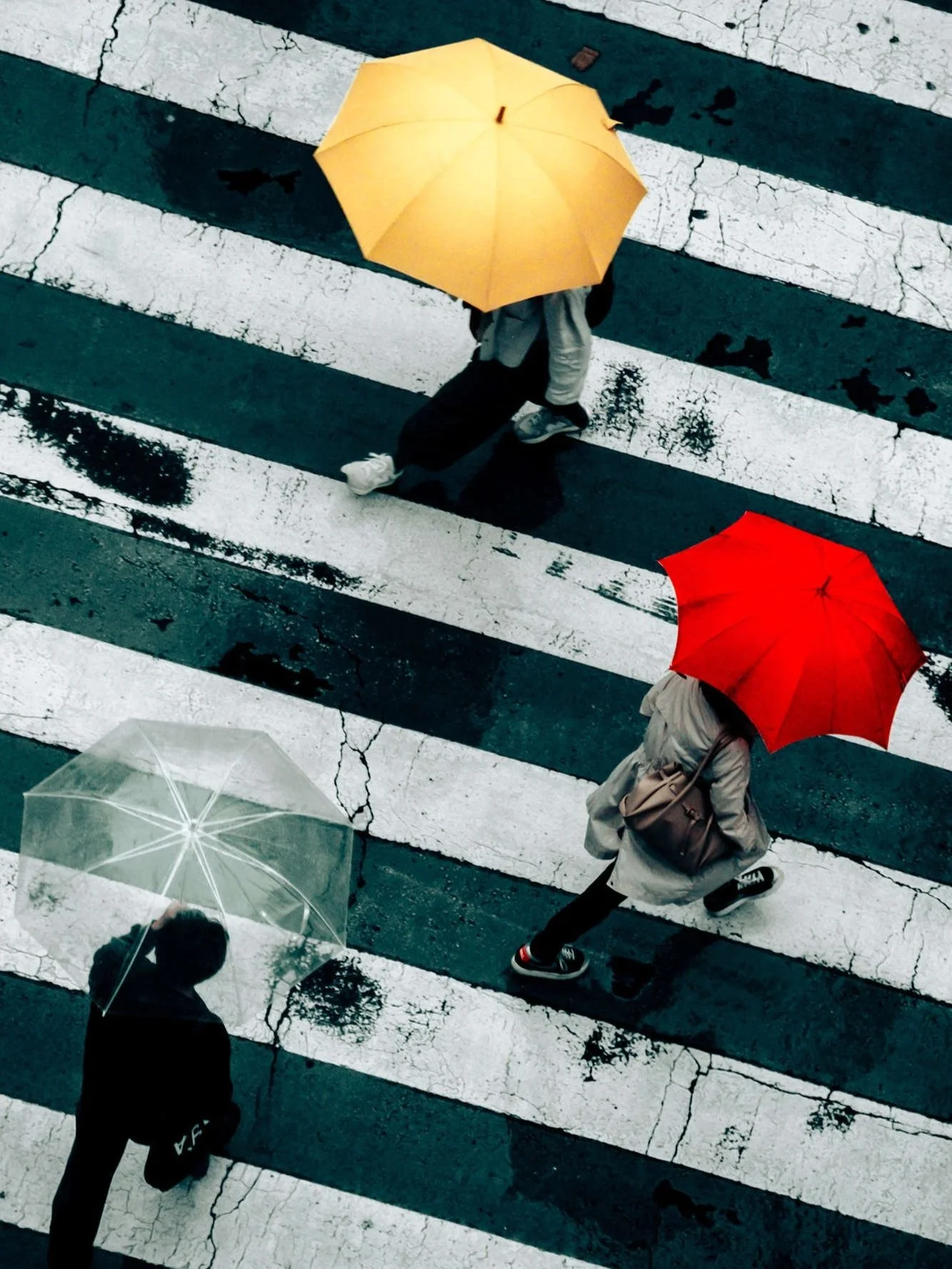 high-angle-shibuya-crossing-umbrellas-close.jpg
