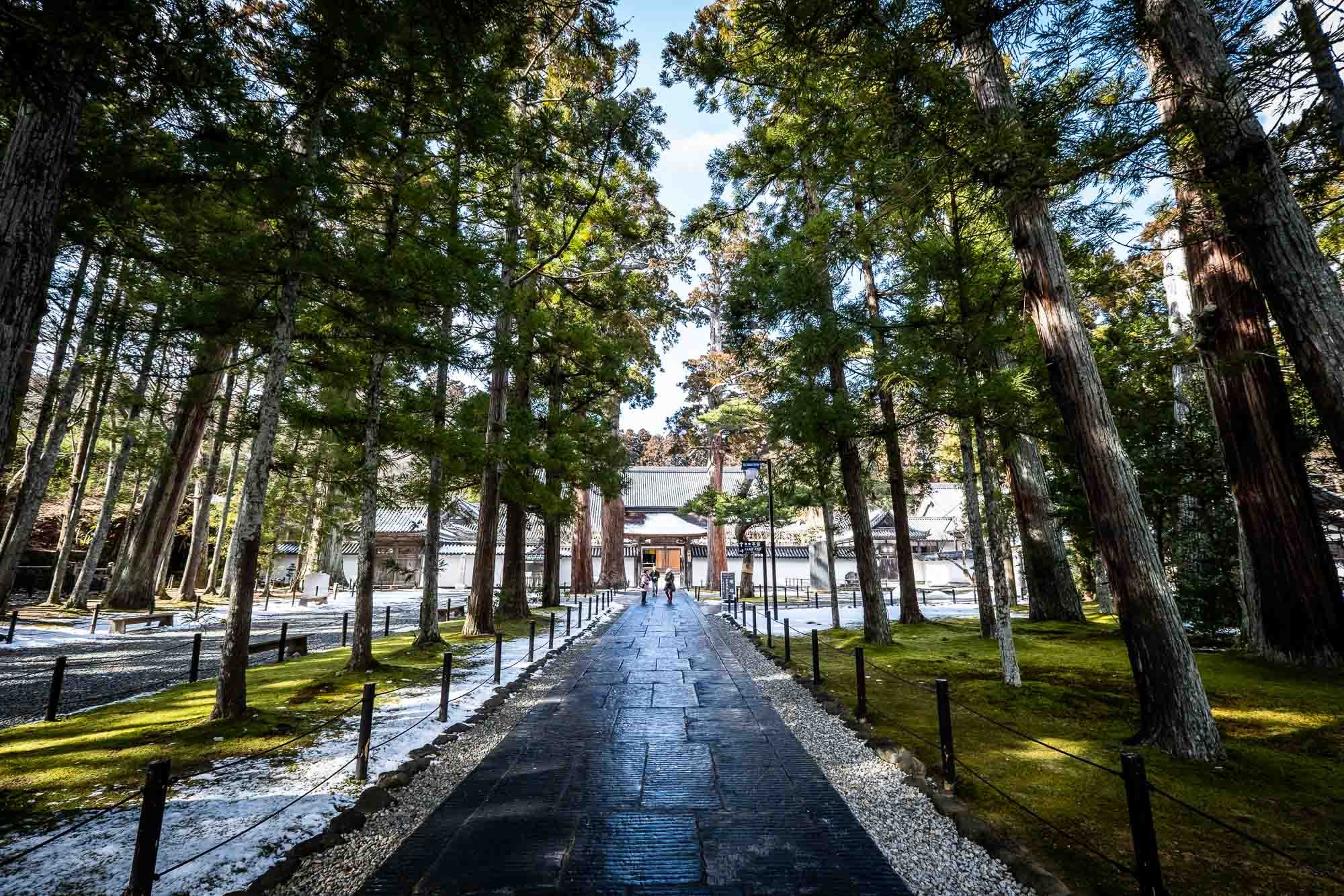 pine-pathway-to-zuiganji-temple.jpg