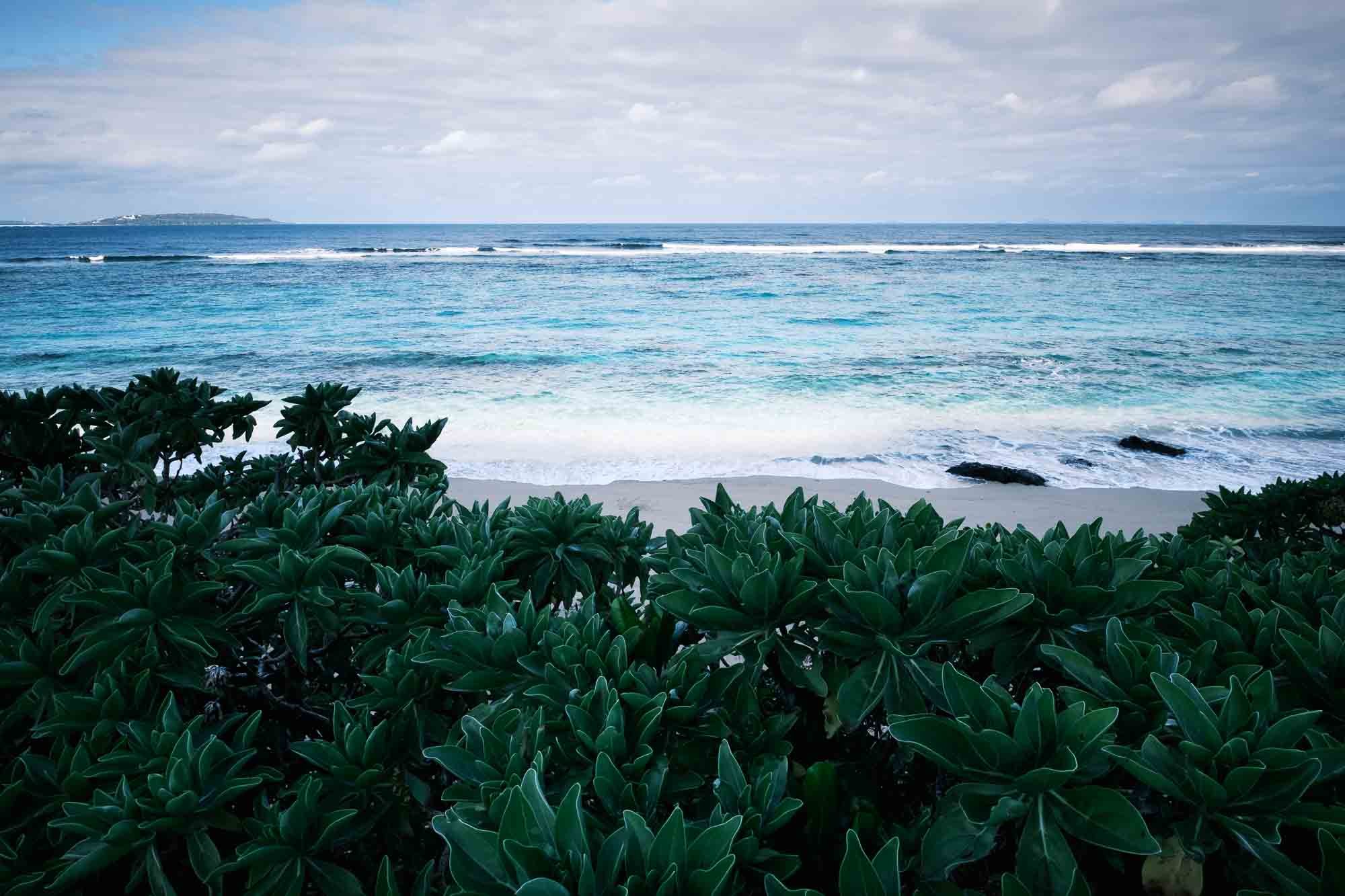 An view of the ocean in Okinawa’s Yanbaru region.