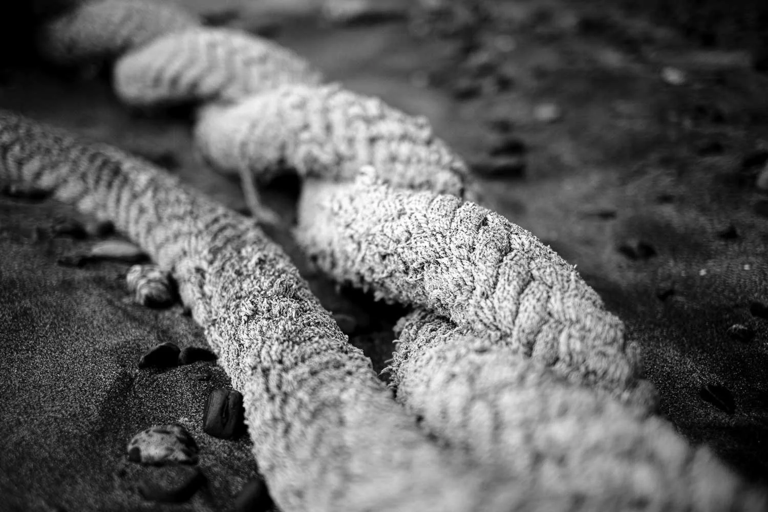  Close-up of a frayed rope resting in the sand, a black and white coastal detail from “The Shore” photographed along the Shonan coast. 