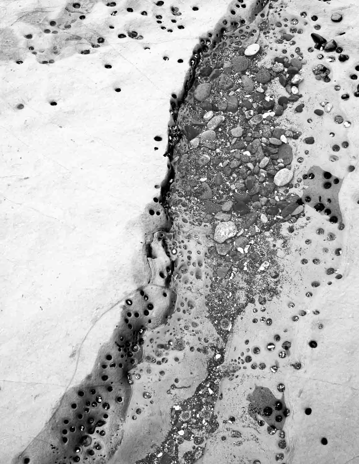  Textured rock surface dotted with tiny holes and filled with pebbles, a natural black and white pattern from the Shonan shoreline. 