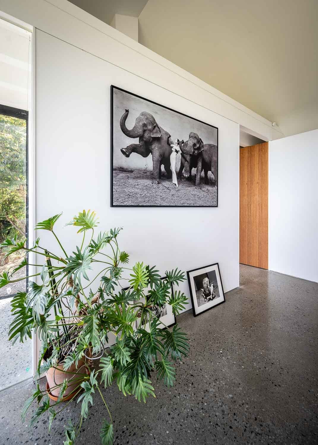  Inside the home, David Thevenin’s growing collection of contemporary art includes black and white photography, including a print of Richard Avedon’s  Dovima with Elephants . 