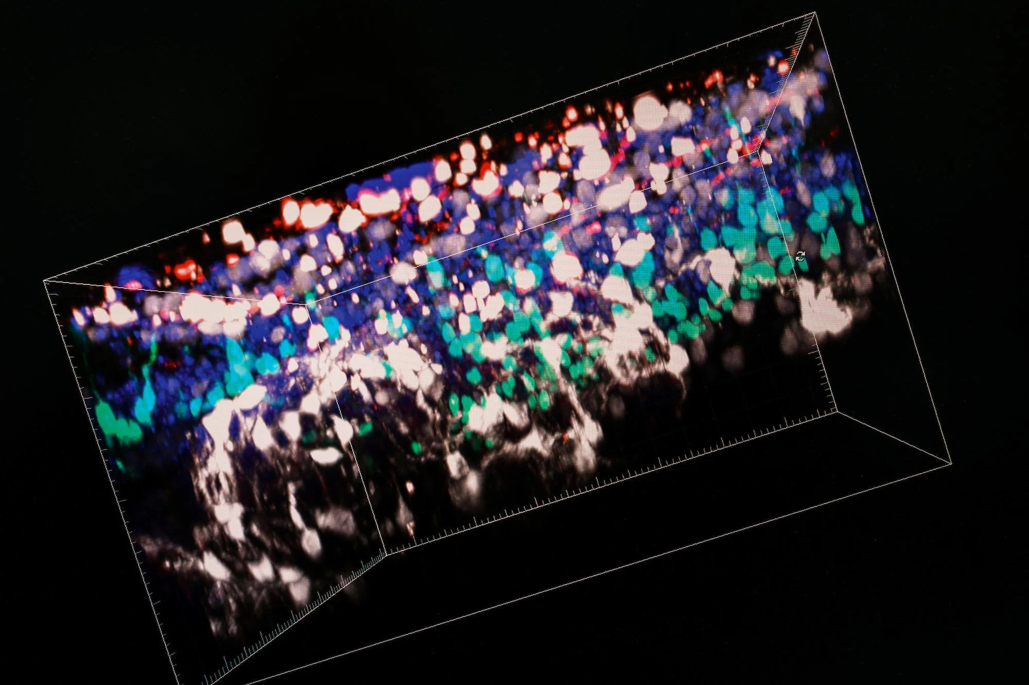 3D digital visualization of colorful bokeh lights with a grid overlay on a black background.