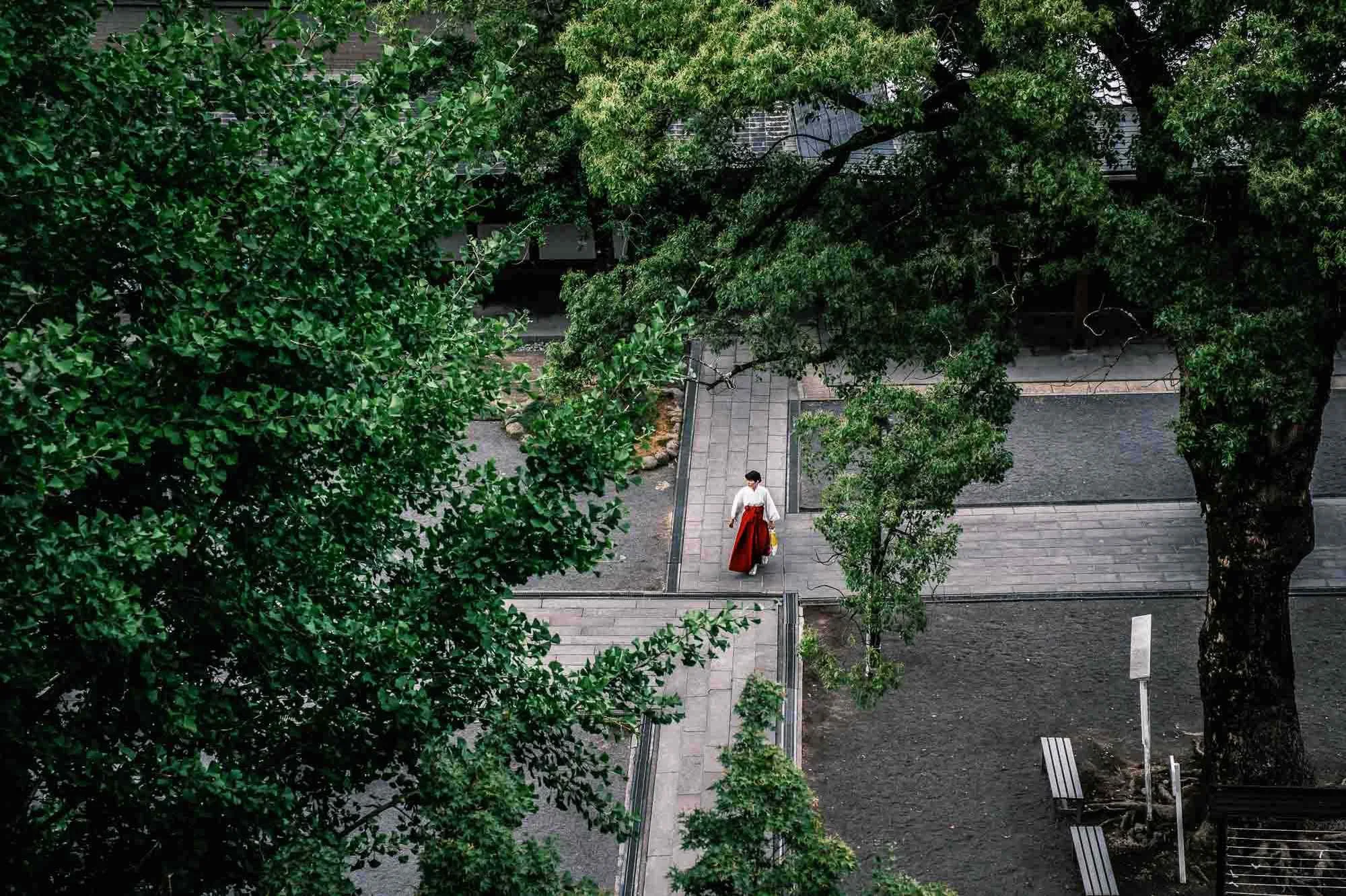 Aerial shot of a temple courtyard with a shrine maiden framed by green tree branches.