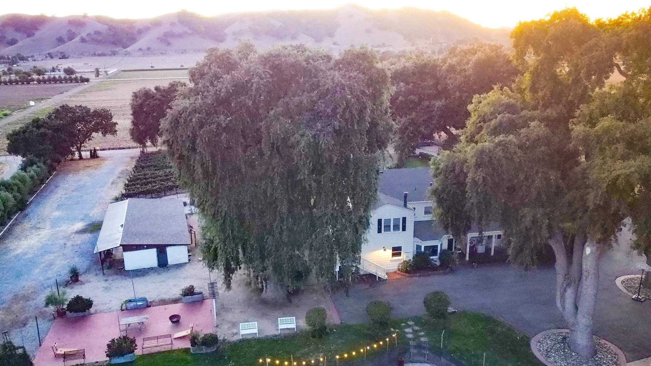 Plan the Ultimate Wine Country Bachelorette Weekend at Fitz Place