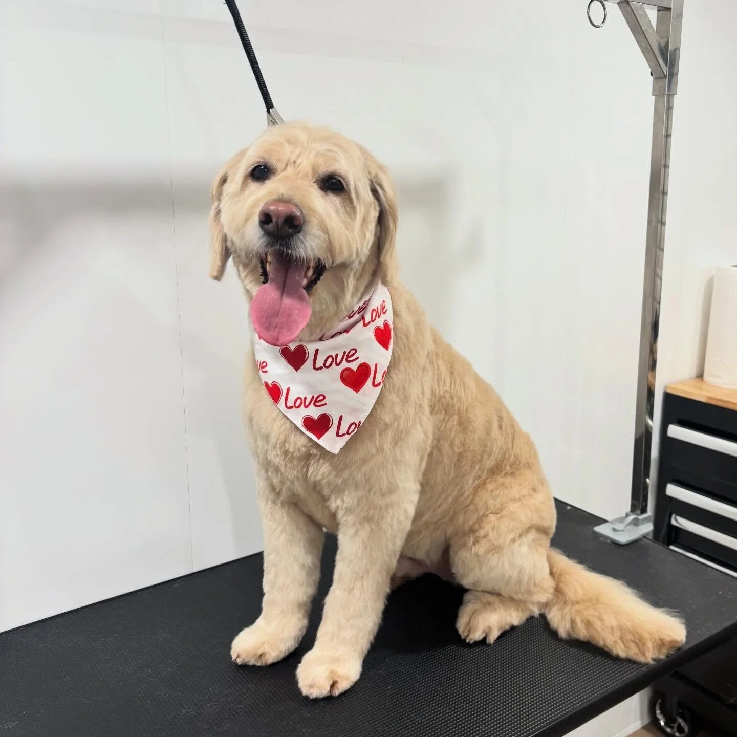 Milo&rsquo;s sending kisses your way 😘💋