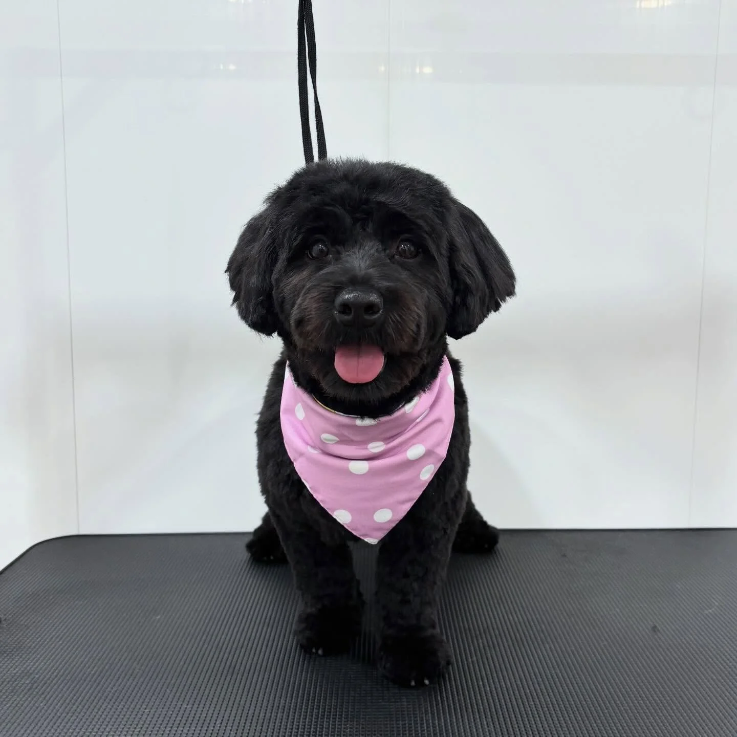 Beautiful Bailey 💜