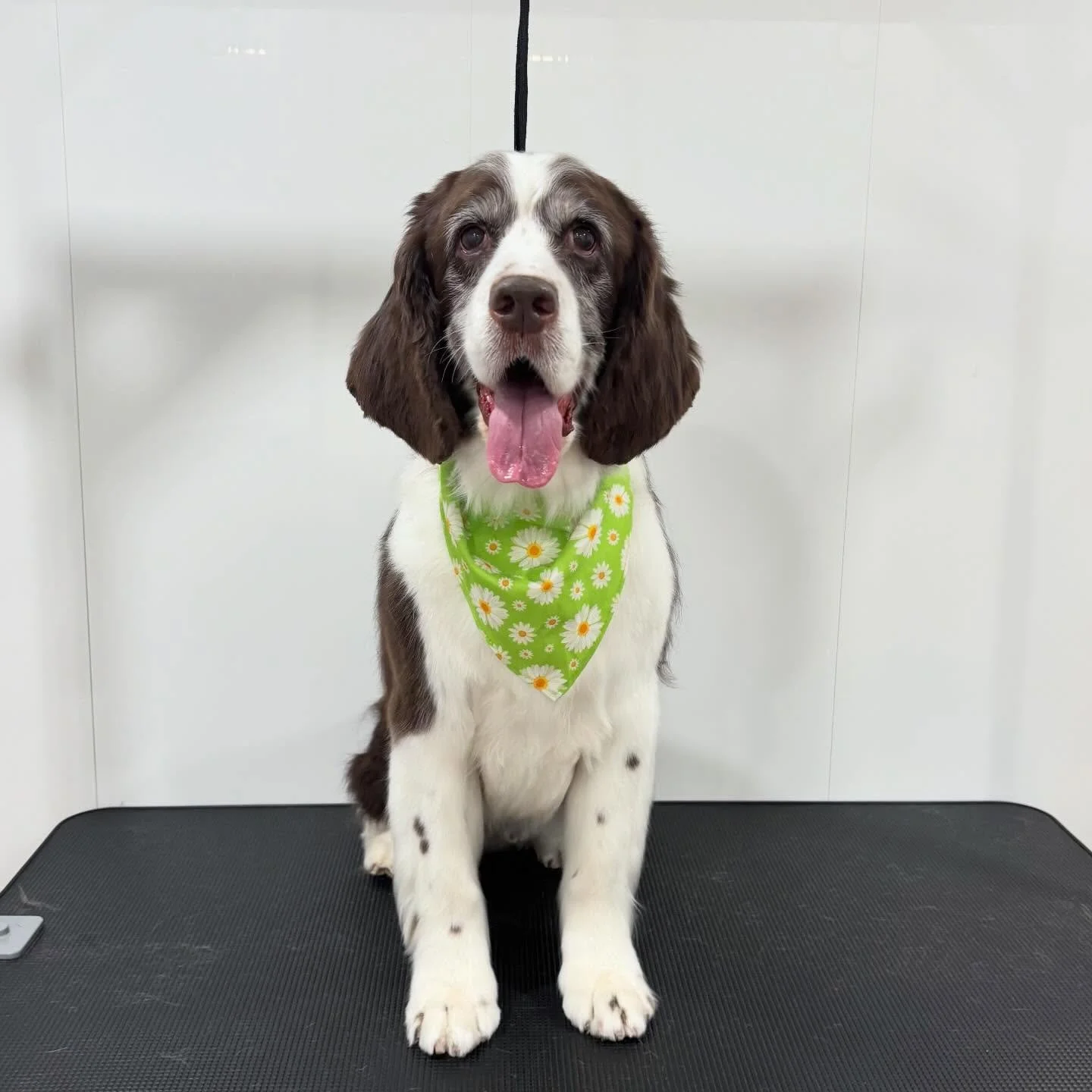 Titan&rsquo;s spring glow-up is in full bloom 🌼💚