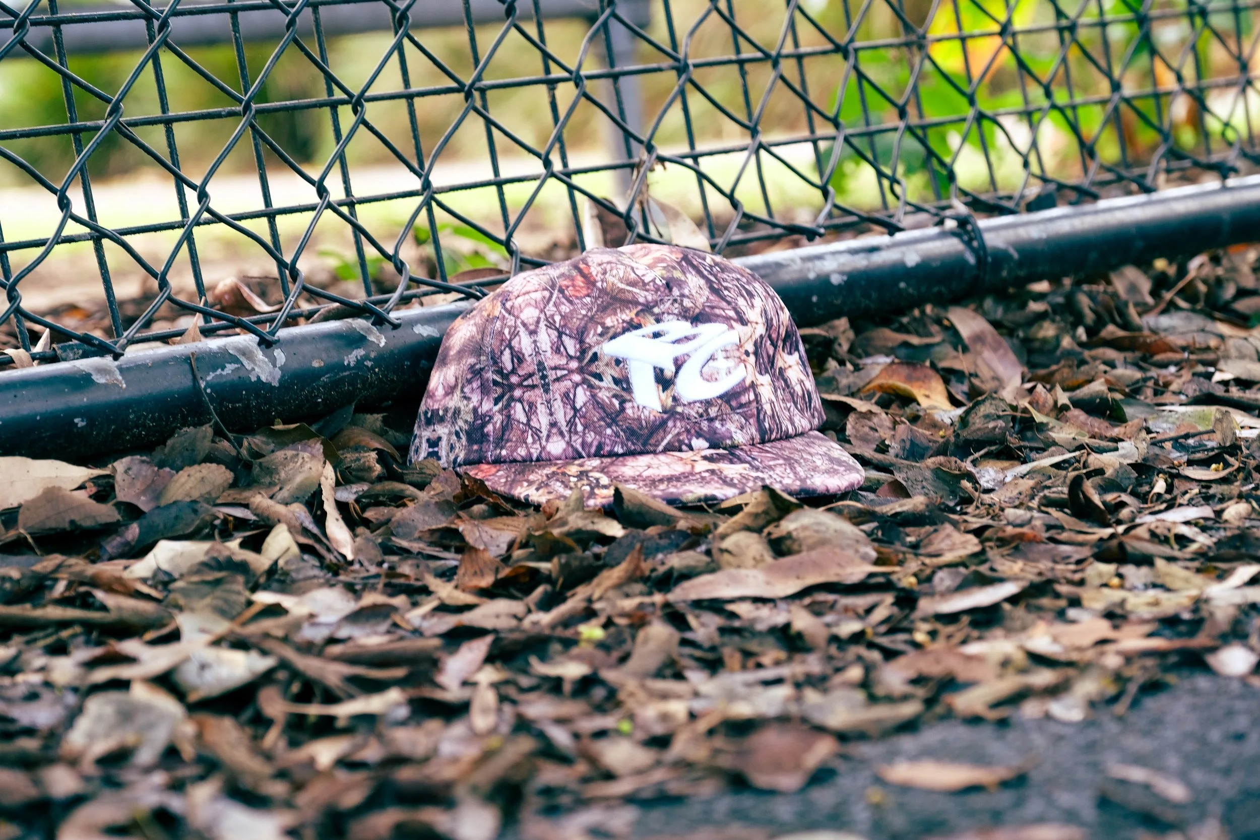 DSCF3798.jpg