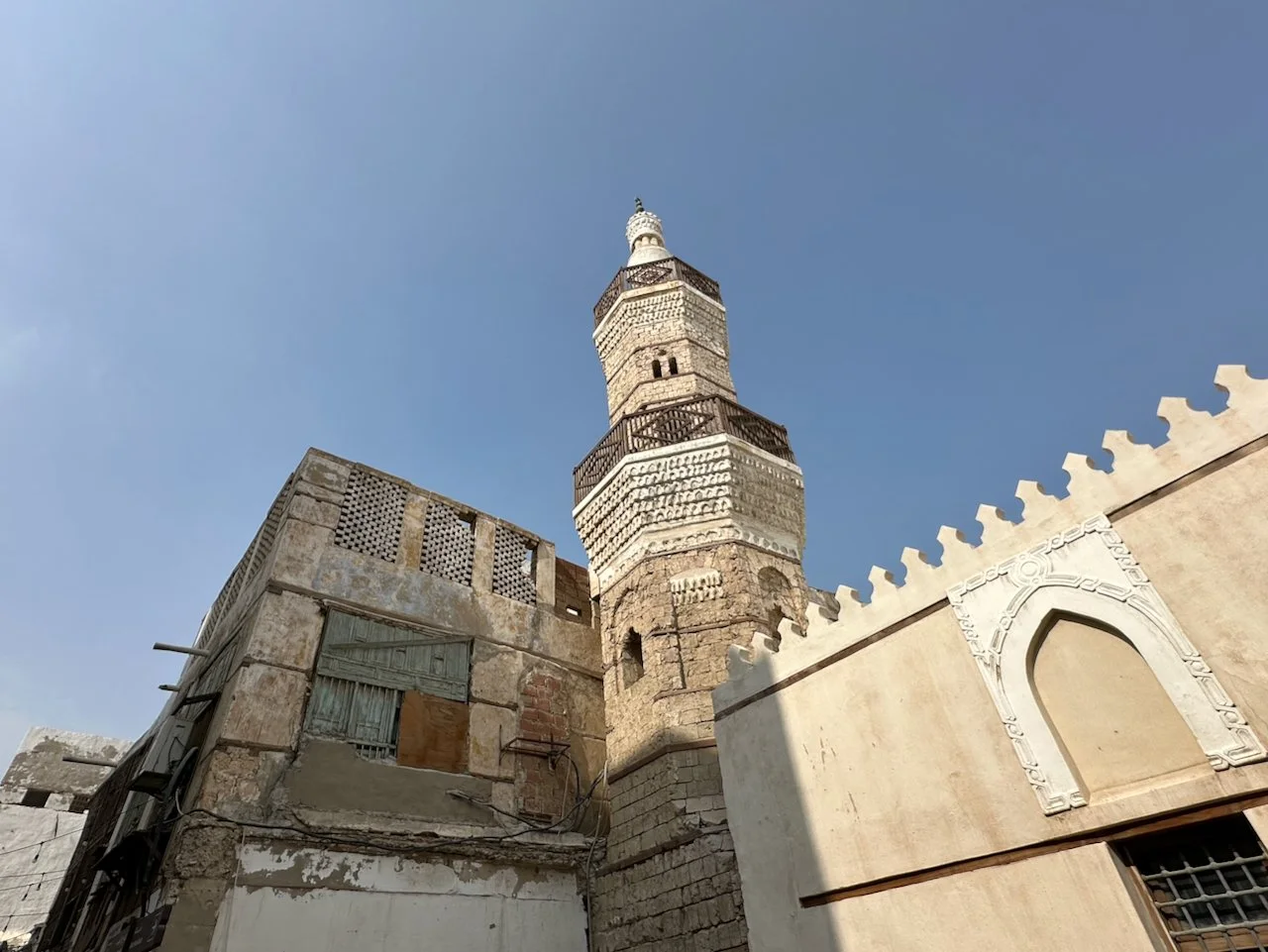 CATCH OF THE DAY (5)