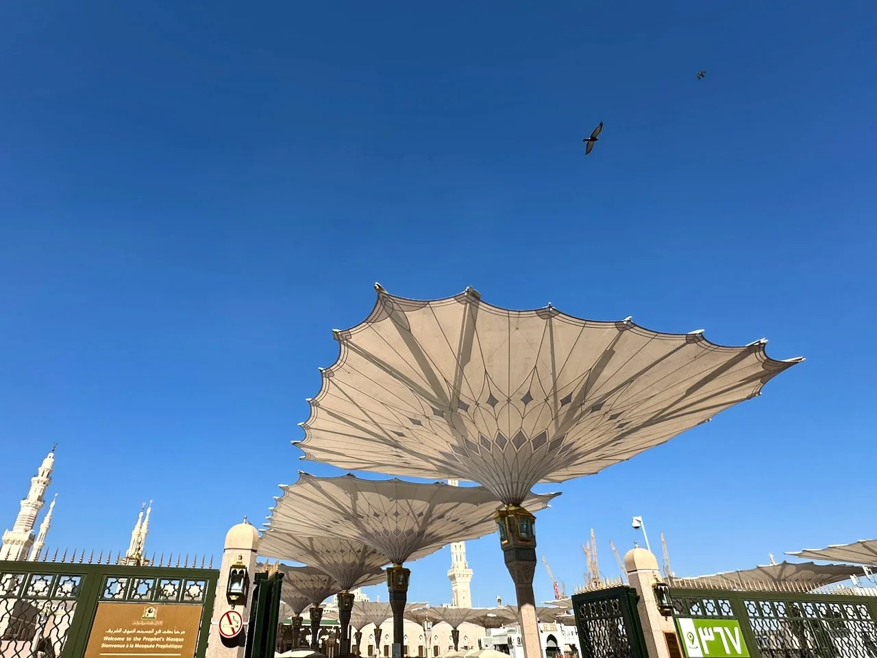 THE PROPHET’S MOSQUE