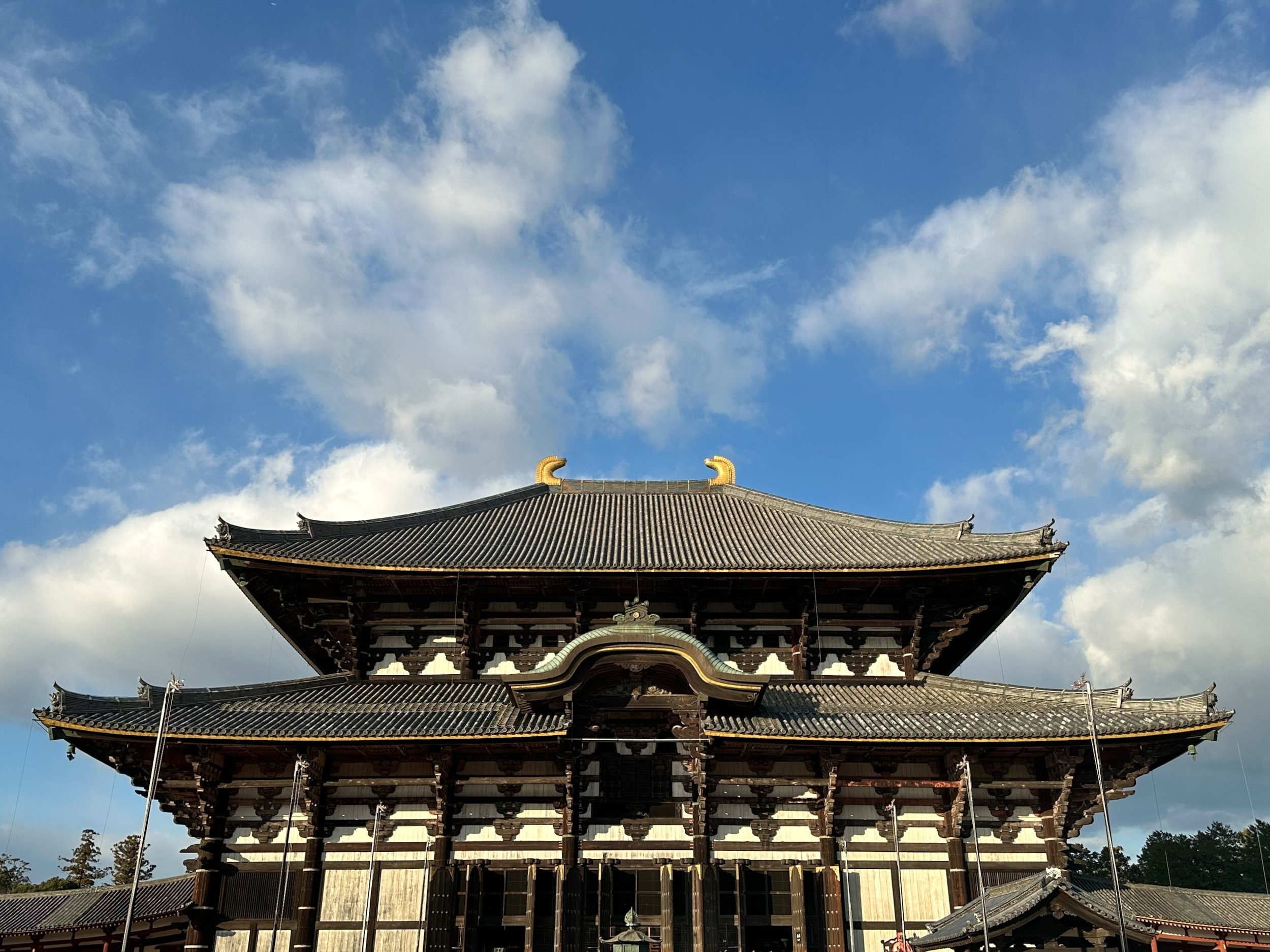 TODAI-JI AND NARA DEER PART1
