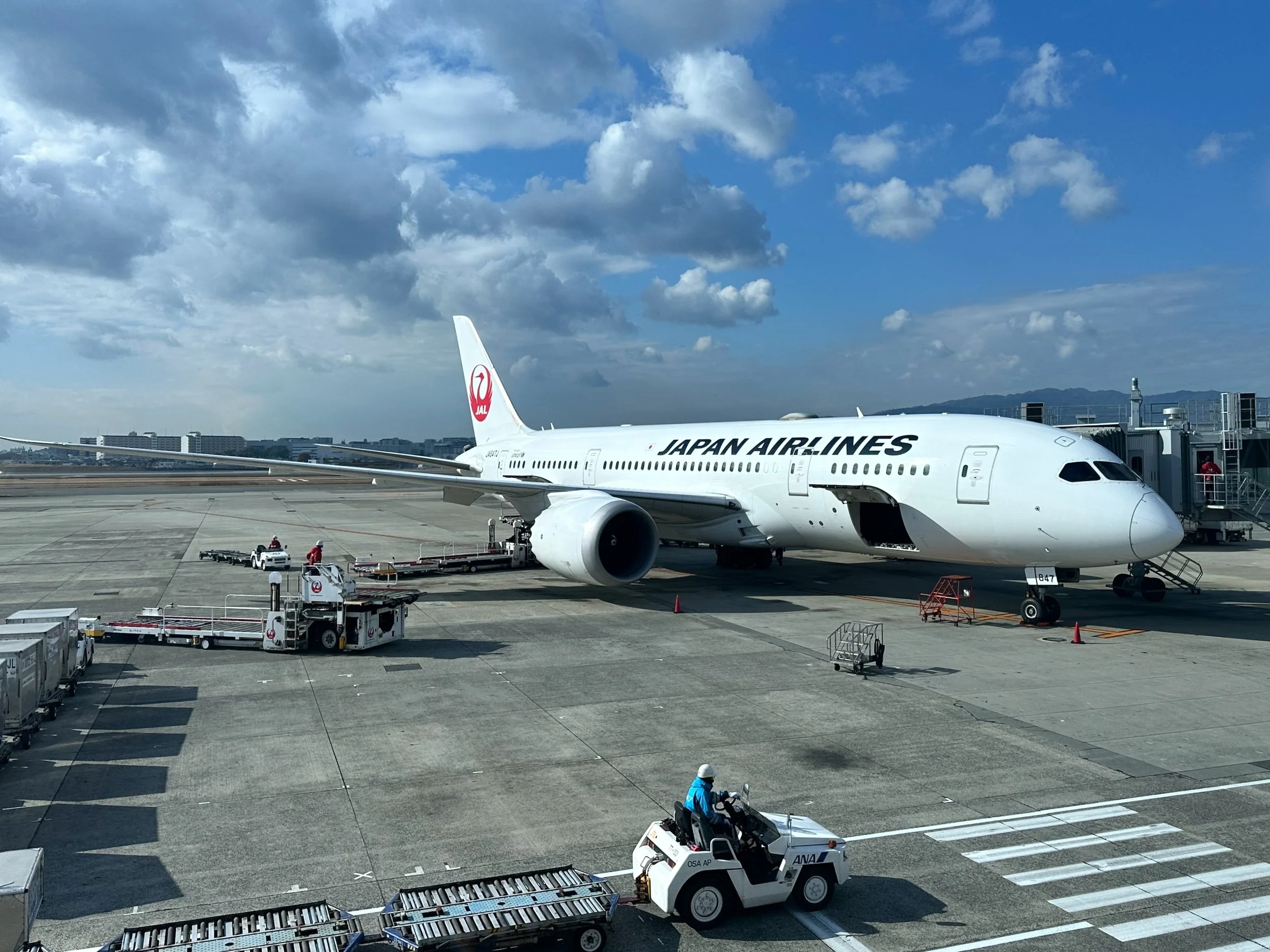 DOMESTIC DREAMLINER