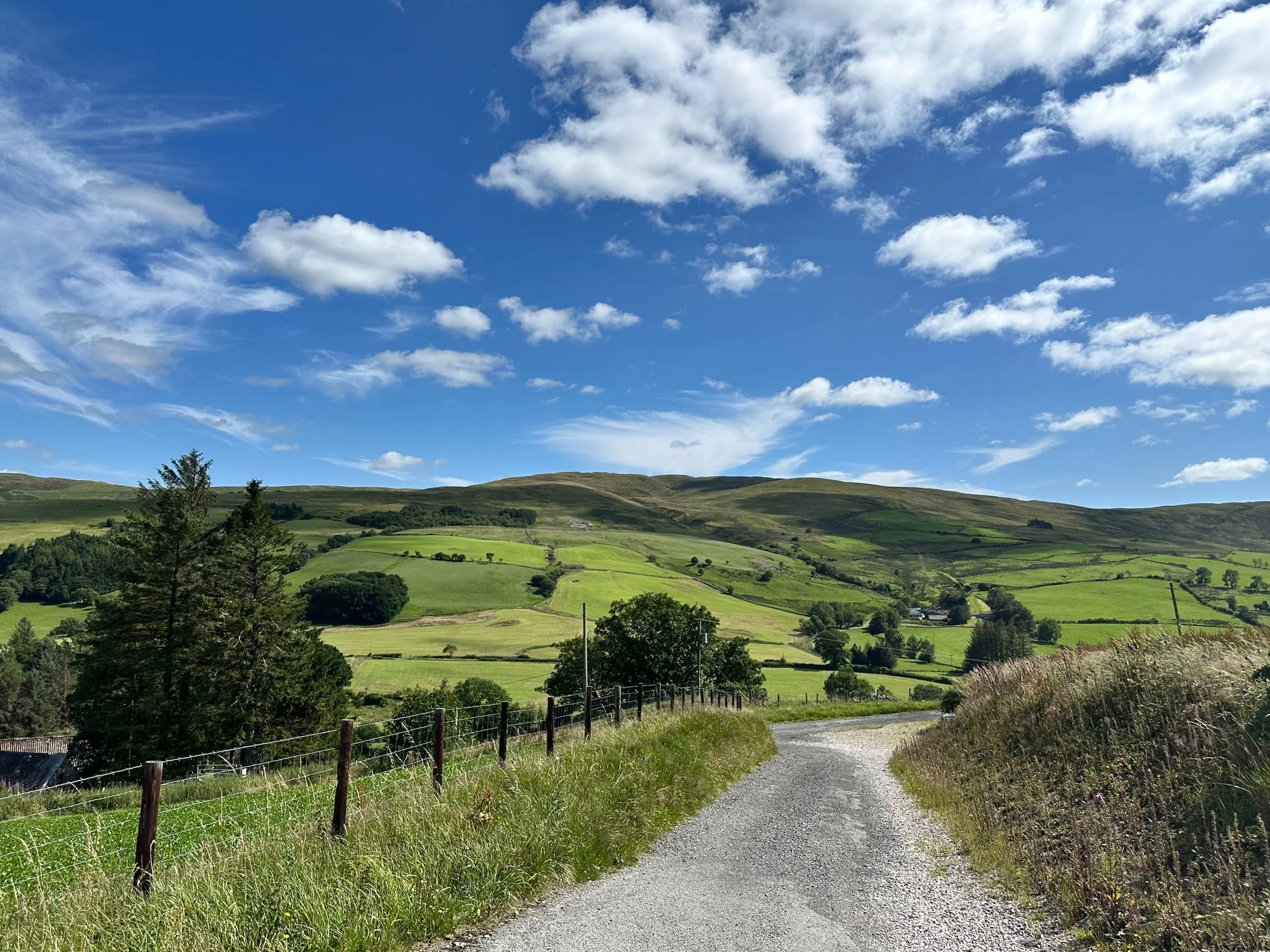 A WELSH ROAD TRIP: RAMBLE ON TO BRON-YR-AUR