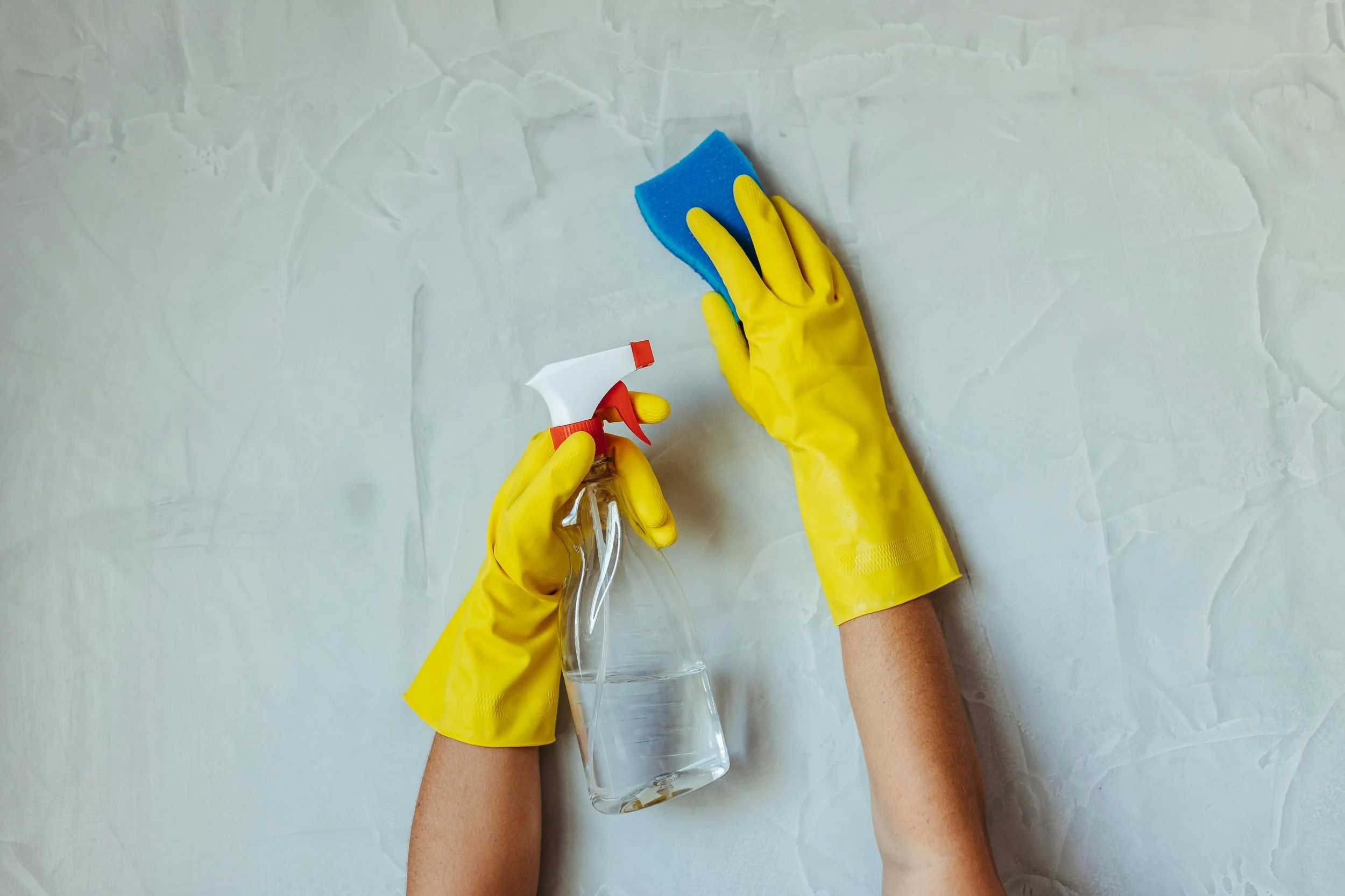 Cleaning &amp; Household Support