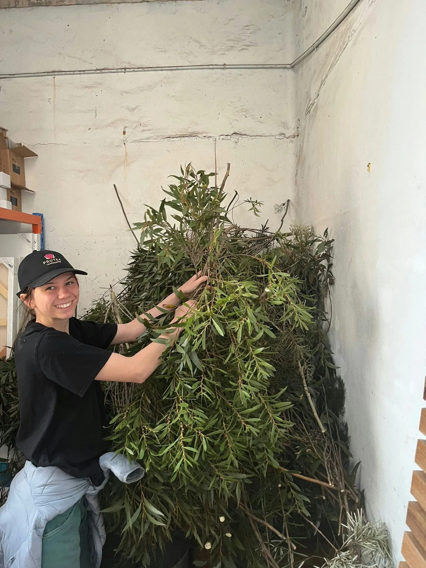 🌸 SPRING EQUINOX FESTIVAL | BMCC 🌸

We are so excited for our first job with Blue Mountains City Council (BMCC), supporting local artists!

Our team helped transport foliage from a local Blue Mountains Retreat to assist the BMCC with their artistic