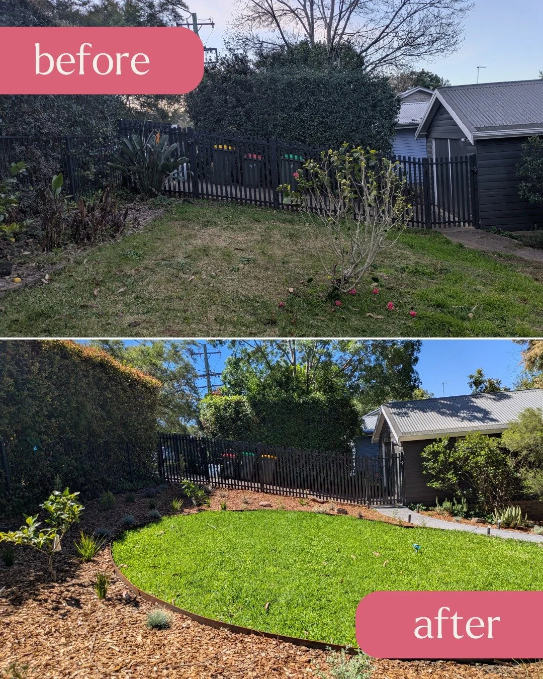 ✨ GARDEN GLOW UP | SPRINGWOOD ✨

From weedy chaos to wildlife haven! 🦋🐝 This gorgeous Springwood garden went from tired and overgrown to a low-maintenance native cottage-style paradise with special touches to attract wildlife!

The transformation i